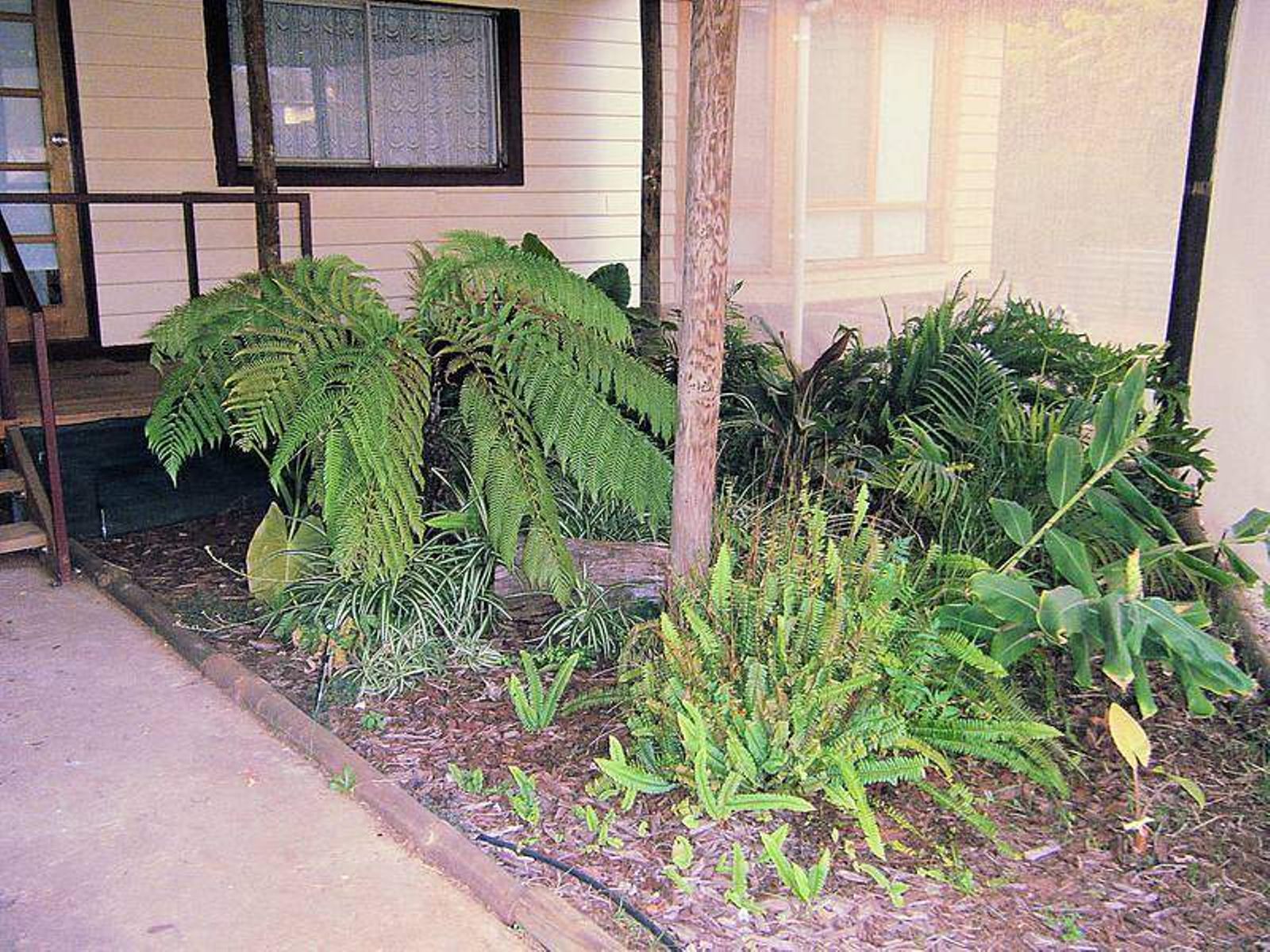 13 Wattle Street, Red Cliffs - Thumbnail 5