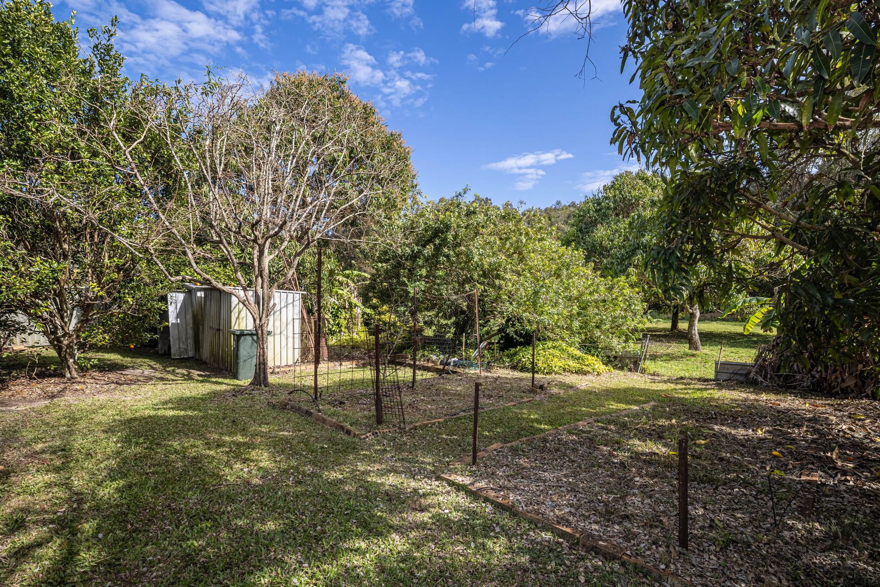 13 Georgia Street, Godwin Beach QLD 4511, Godwin Beach - Thumbnail 6