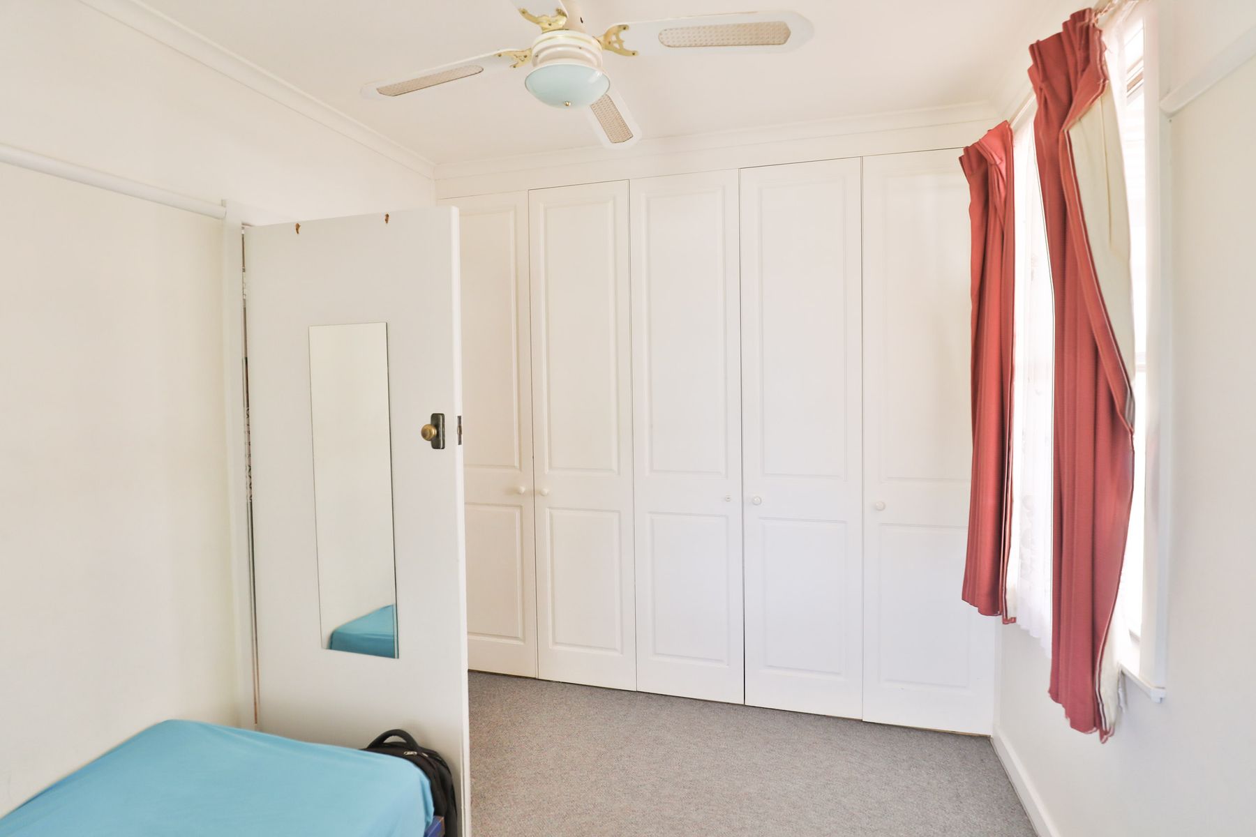 3 Avocado Street, Mildura - Thumbnail 8