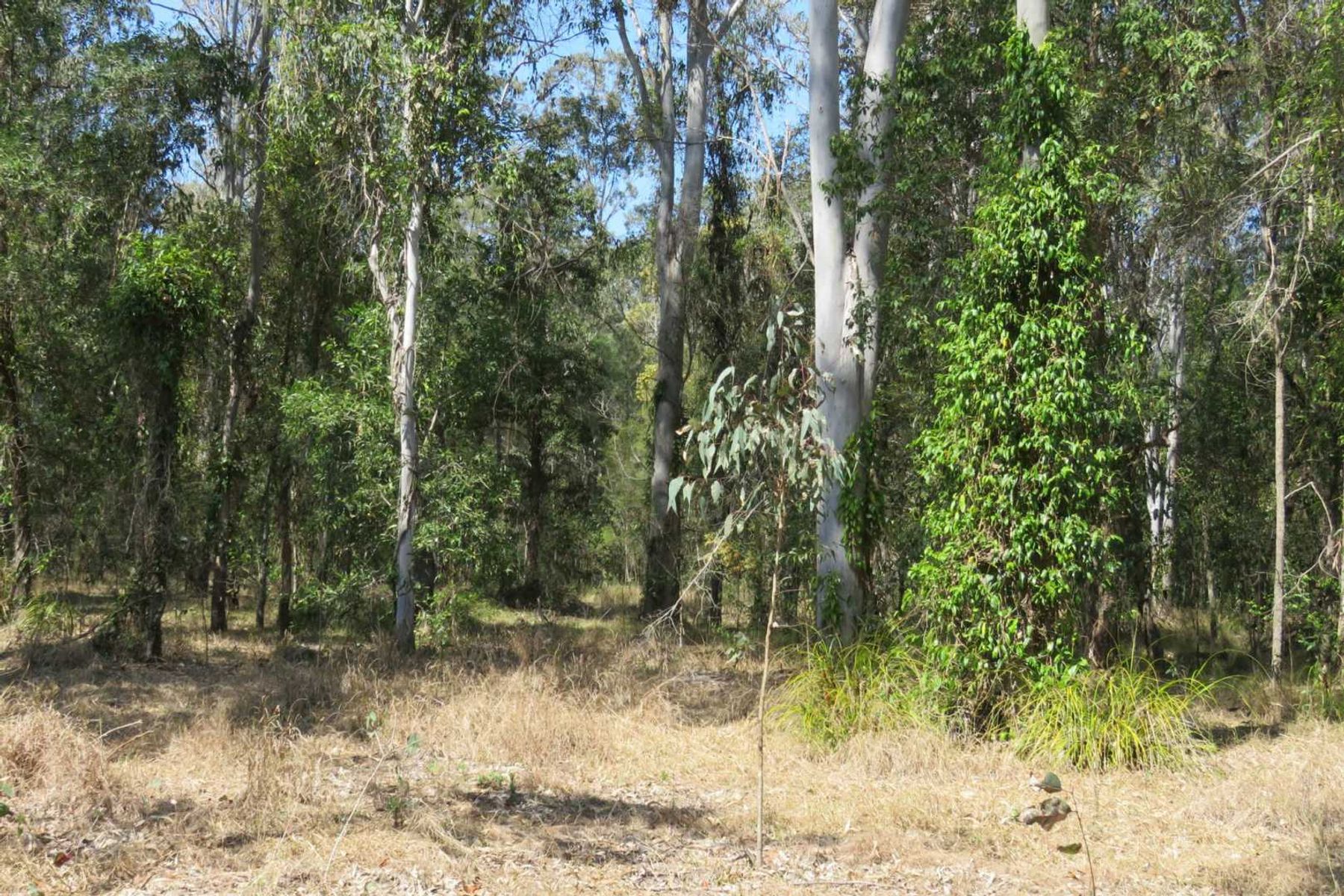 770 Elliots Road, Myrtle Creek, NSW 2469, Myrtle Creek - Thumbnail 4