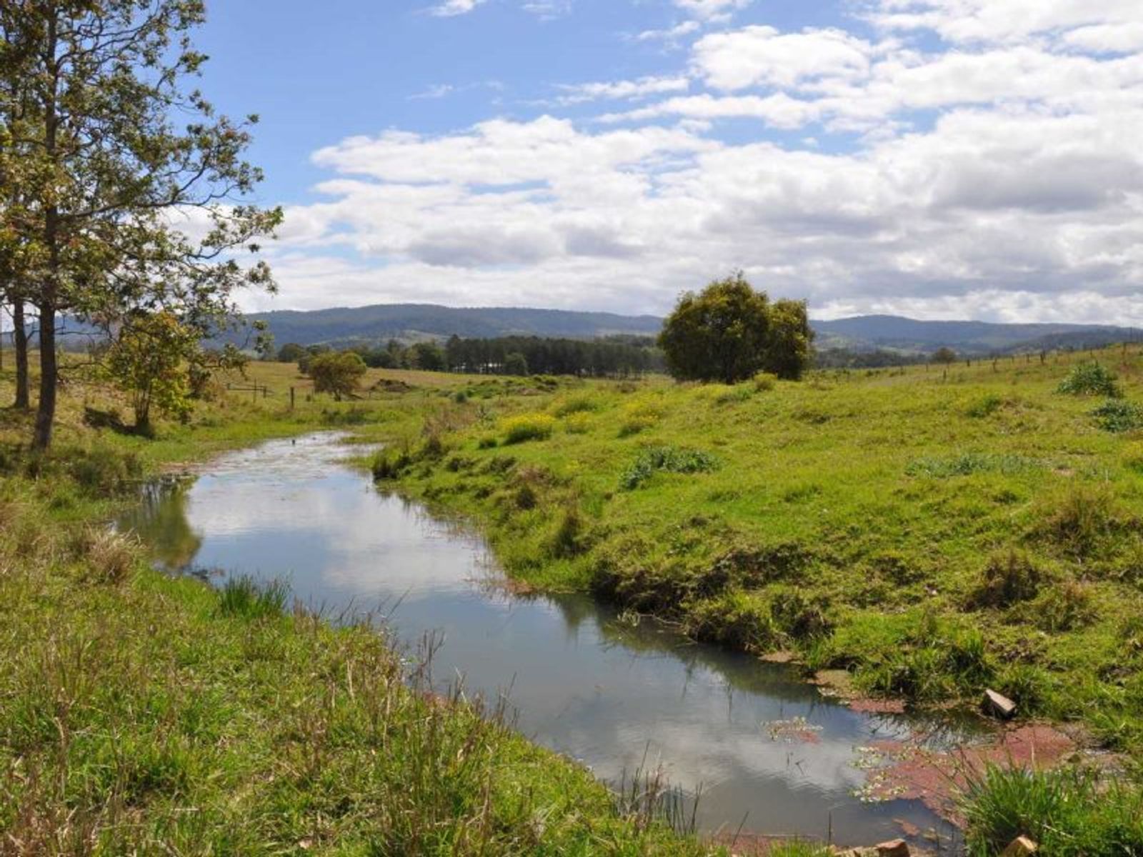 64 Nicholls Rd, Mummulgum - Thumbnail 4