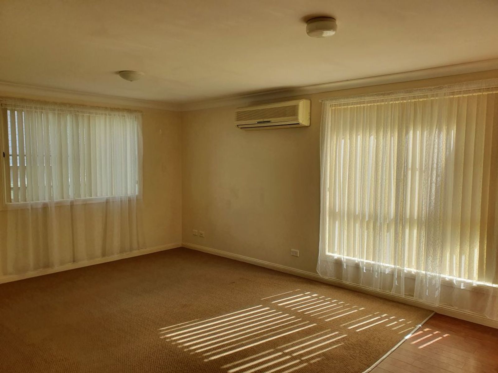 117 Hill Street, Muswellbrook NSW 2333, Muswellbrook - Thumbnail 6