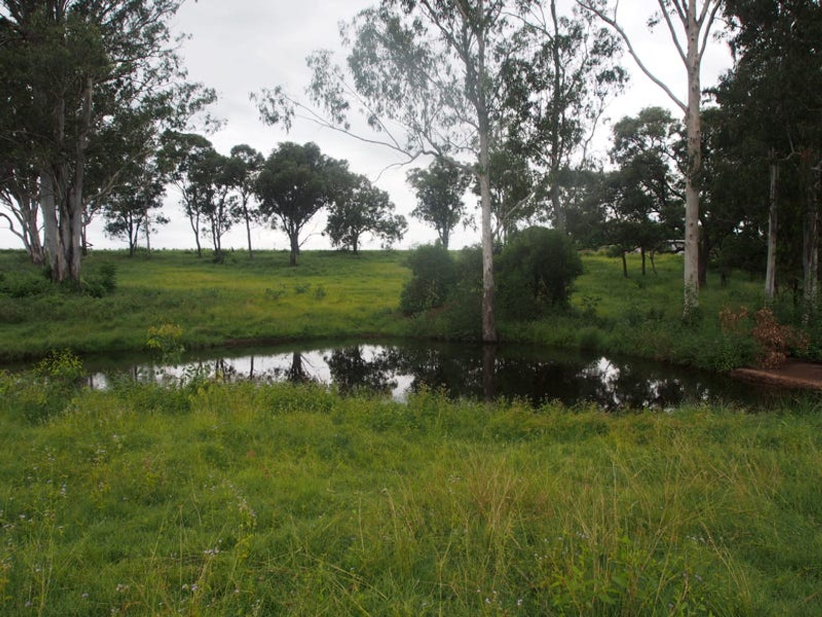 Lot 11&12 Nrn Cemetery Road, Cordalba QLD 4660, Cordalba - Thumbnail 2