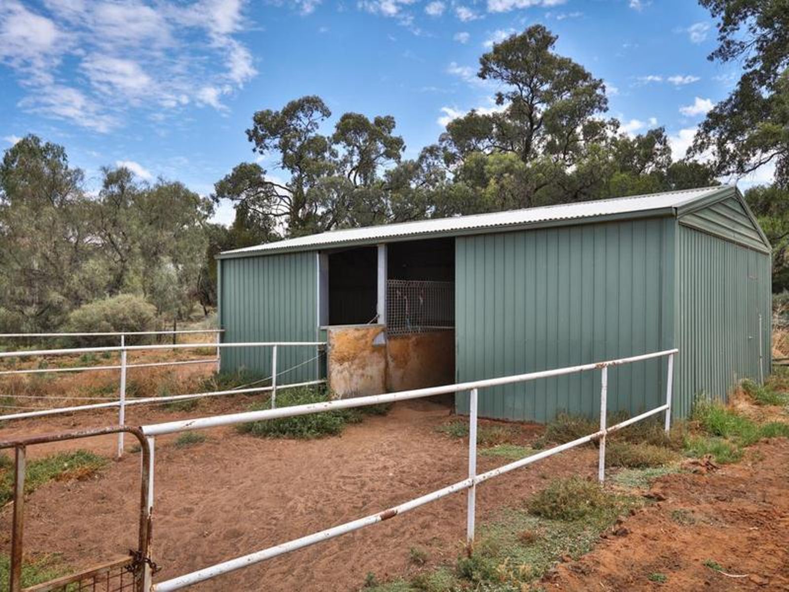 22 Psyche Bend Road, Irymple - Thumbnail 6