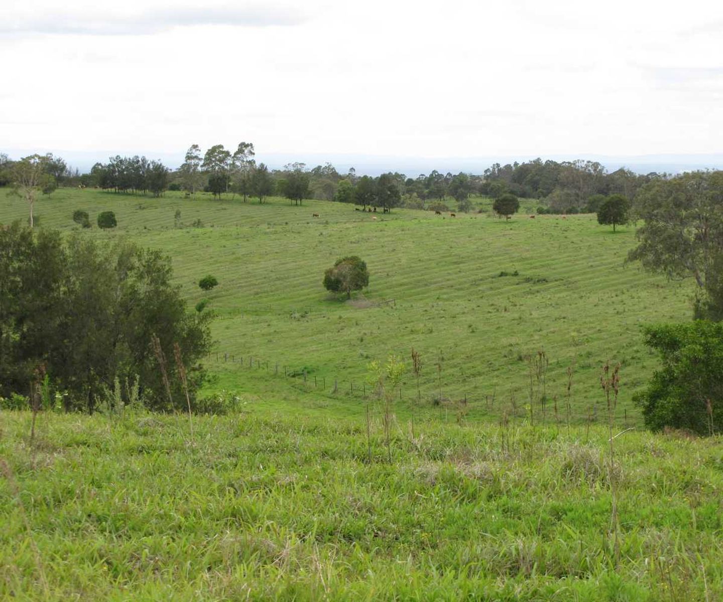 1275 Bulmers Road, Hogarth Range - Thumbnail 5