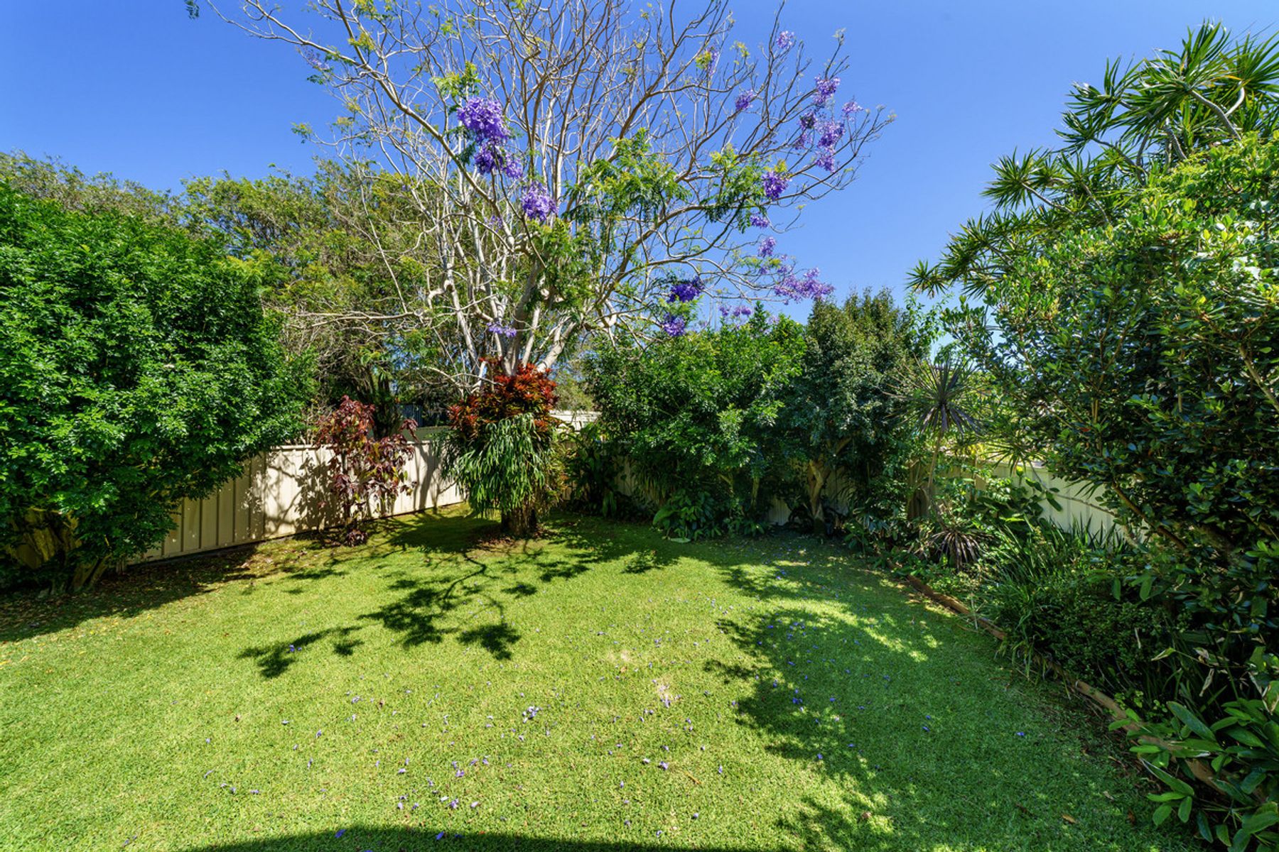 31 Allunga Avenue, Port Macquarie NSW 2444, Port Macquarie - Thumbnail 4