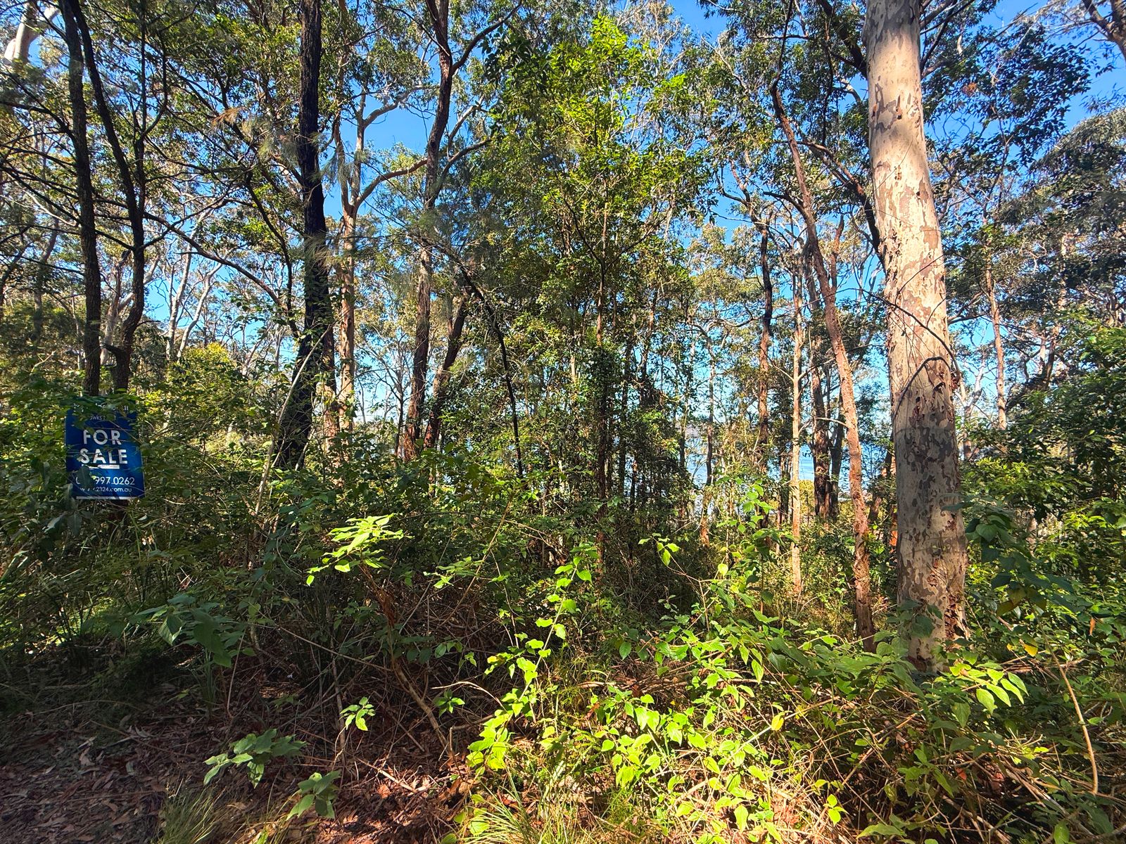 Lot 1753 Allandale Crescent, North Arm Cove NSW 2324, North Arm Cove - Thumbnail 5
