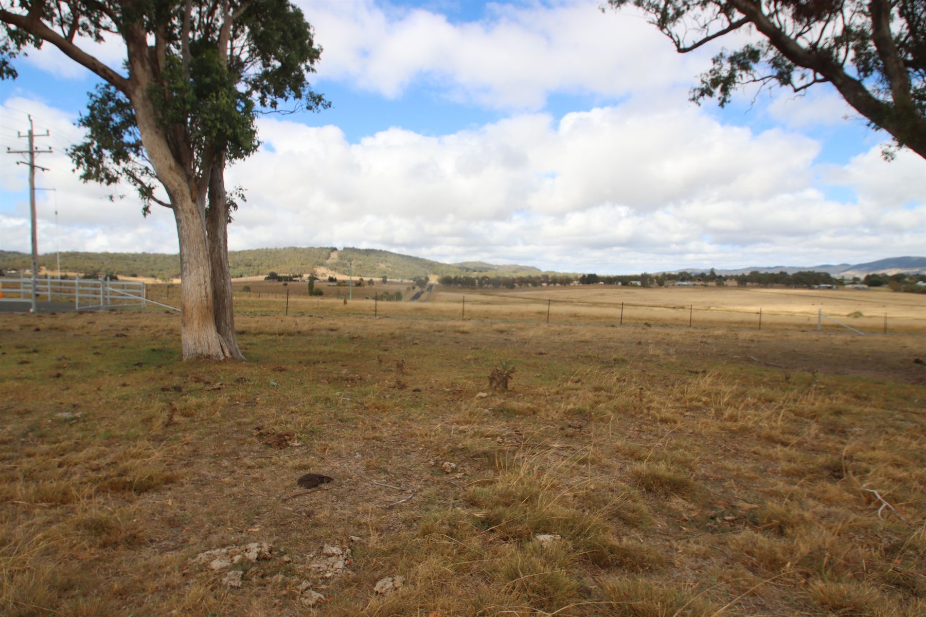 113B Bellevue Road, Tenterfield NSW 2372, Tenterfield - Thumbnail 2