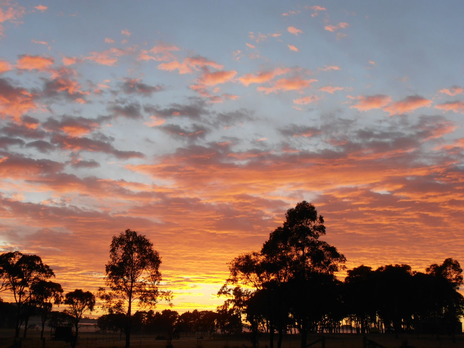 698 Bryans Gap Road, Tenterfield NSW 2372, Tenterfield - Thumbnail 3