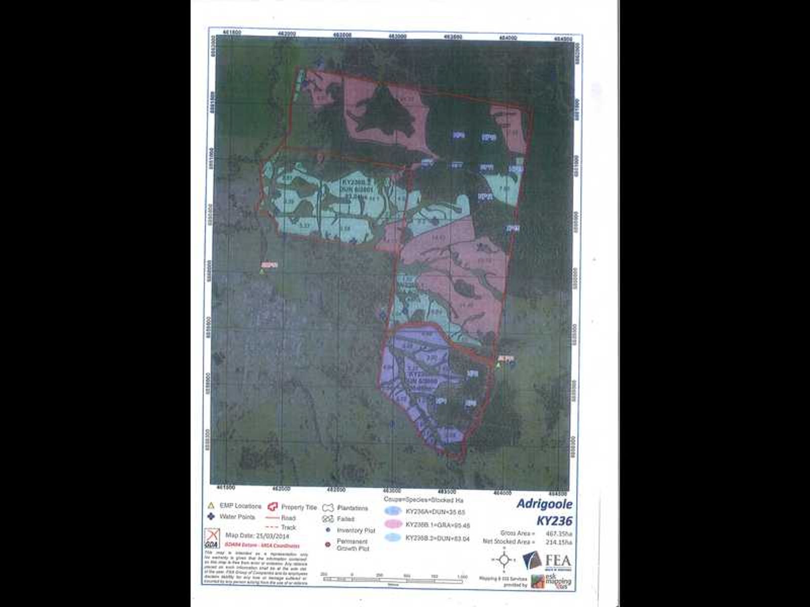 Adrigoole Mt Lindsay Road, Woodenbong - Thumbnail 4