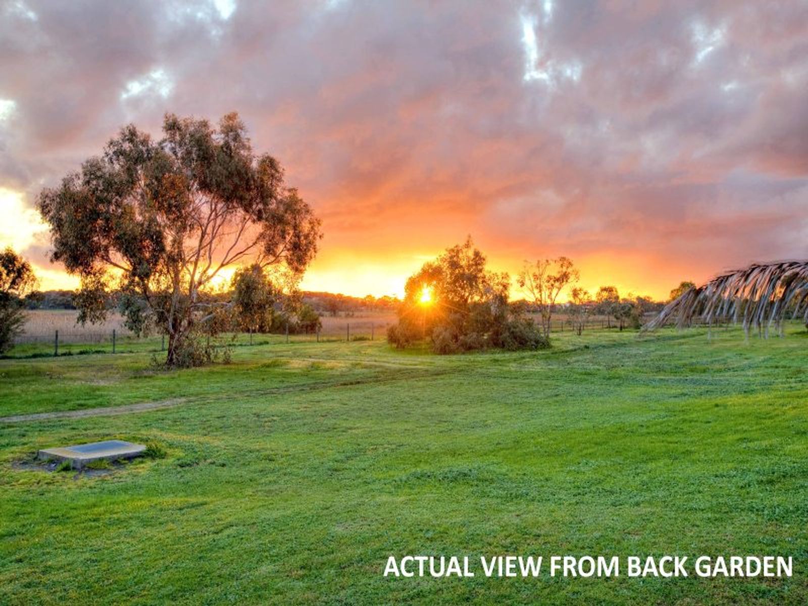 70 Branagan Drive, Aspendale Gardens, VIC 3195, Aspendale Gardens - Thumbnail 3