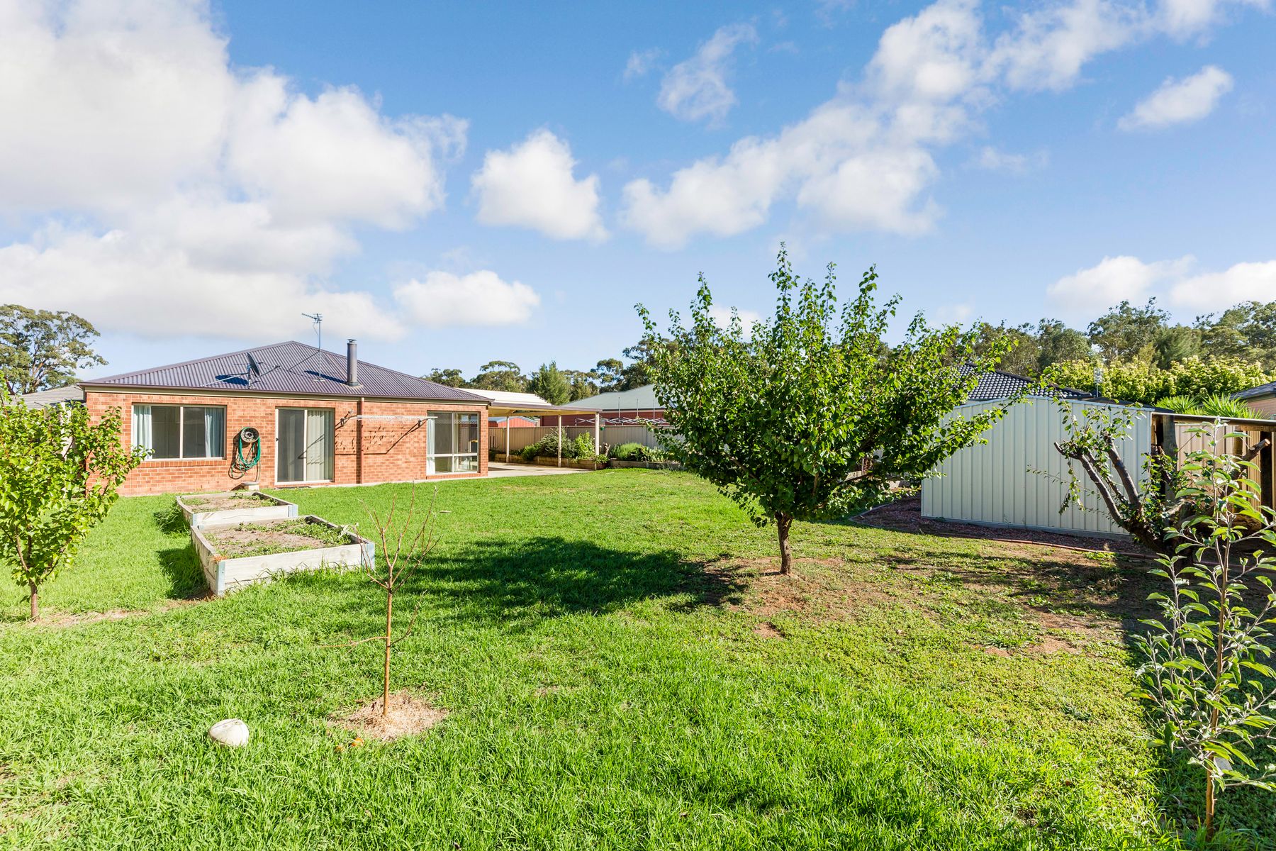 17 Thomas Drive, Marong VIC 3515, Marong - Thumbnail 5