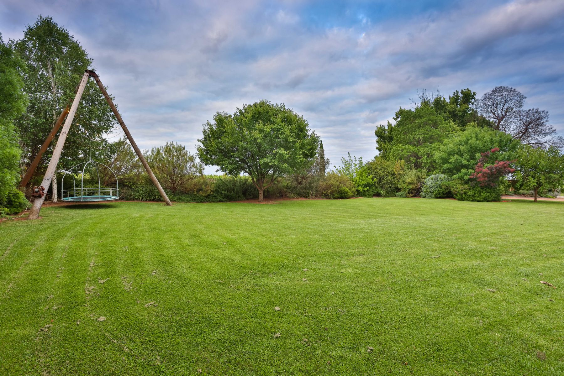 8406 Calder Highway, Red Cliffs VIC 3496, Red Cliffs - Thumbnail 4