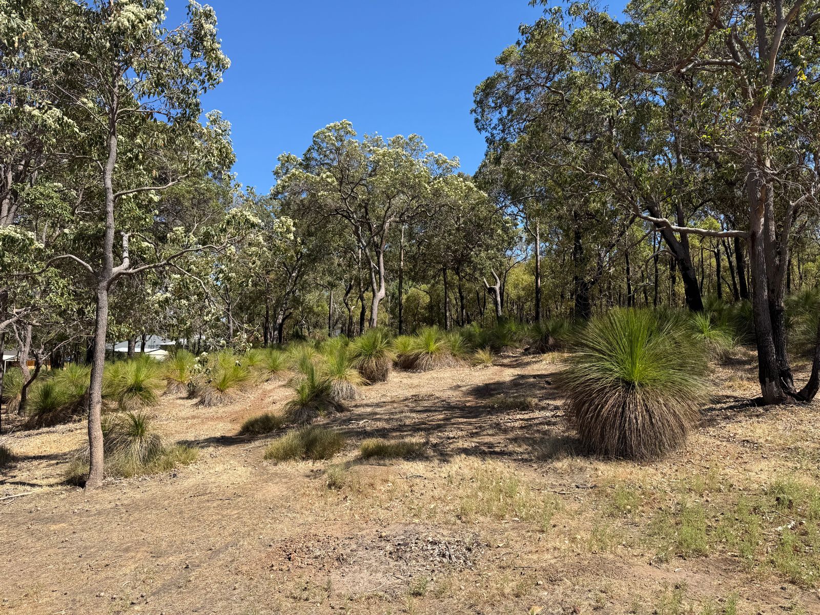 59 Lyons Road, Waroona WA 6215, Waroona - Thumbnail 7