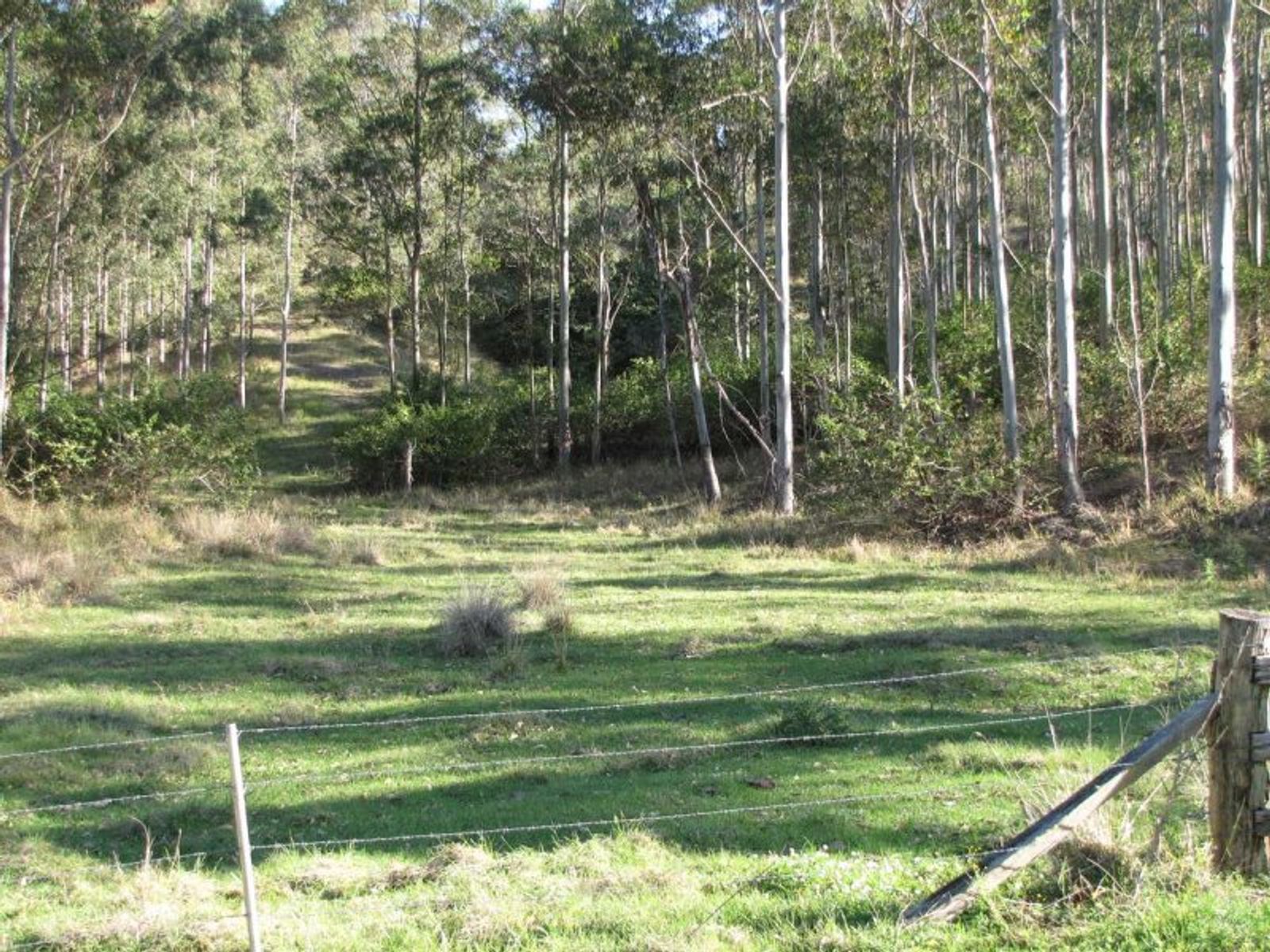 Muller Roseberry Creek Road, Roseberry Creek - Thumbnail 4