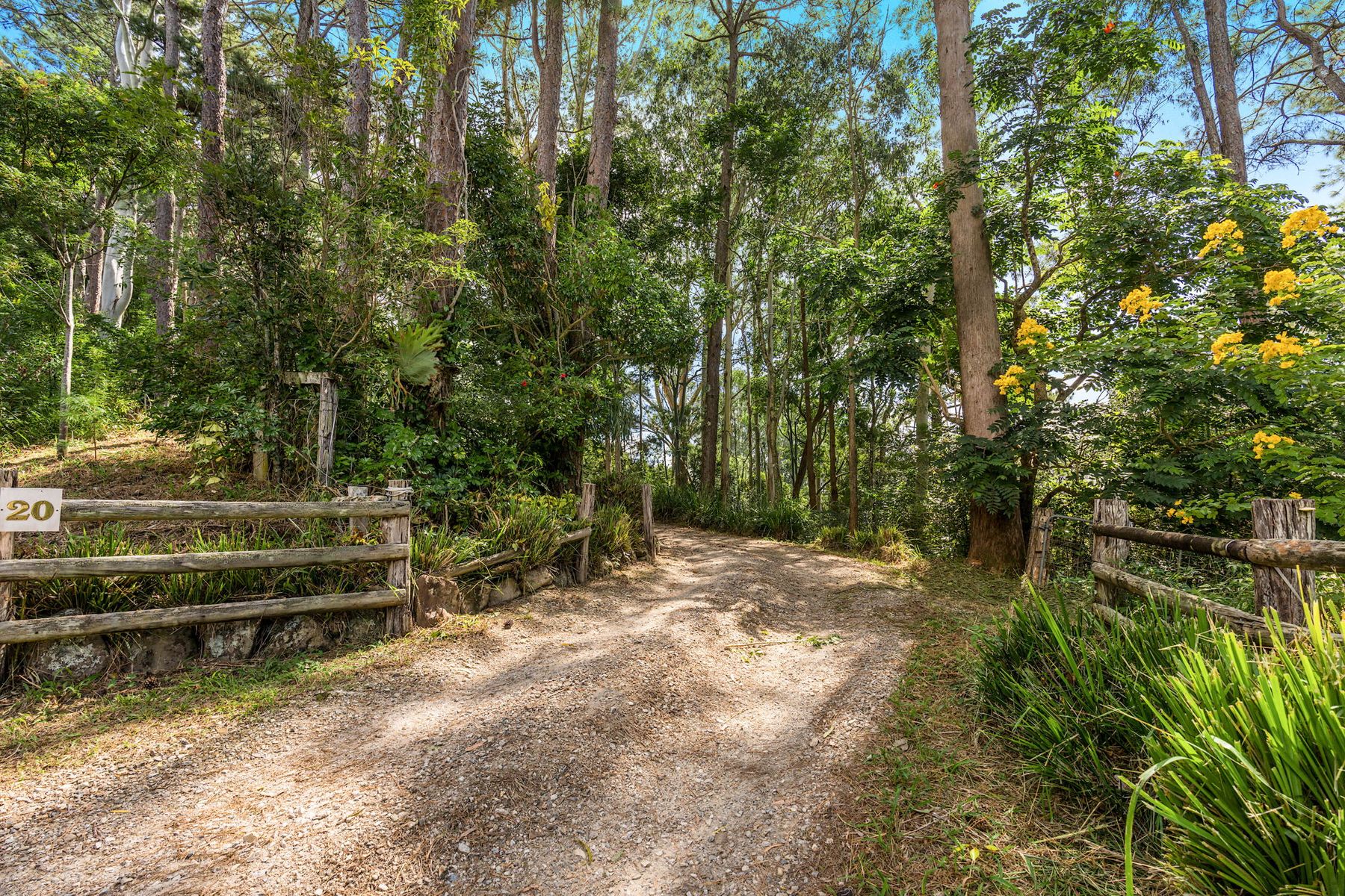 20 Pine Mountain Road, Possum Creek - Thumbnail 5