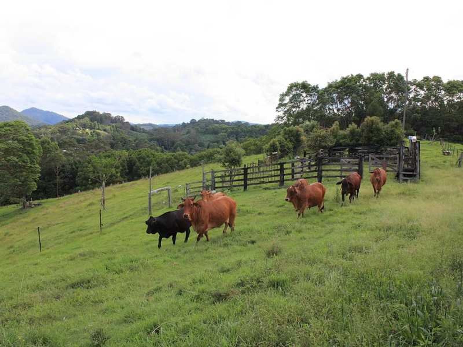 6903 Tweed Valley Way, Stokers Siding - Thumbnail 6