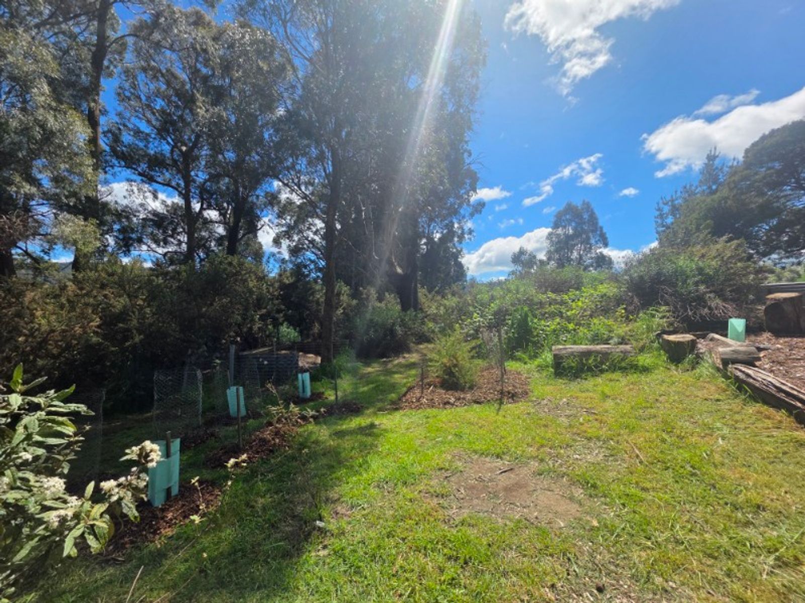Mole Creek TAS 7304, Mole Creek - Thumbnail 5