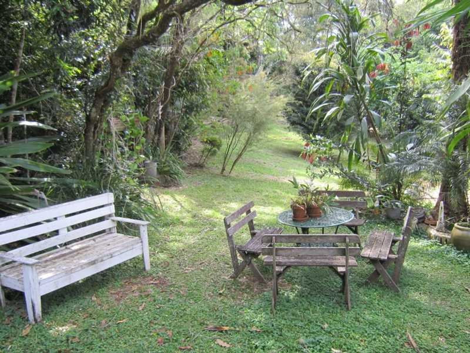 118 Arthur Road, Corndale - Thumbnail 7
