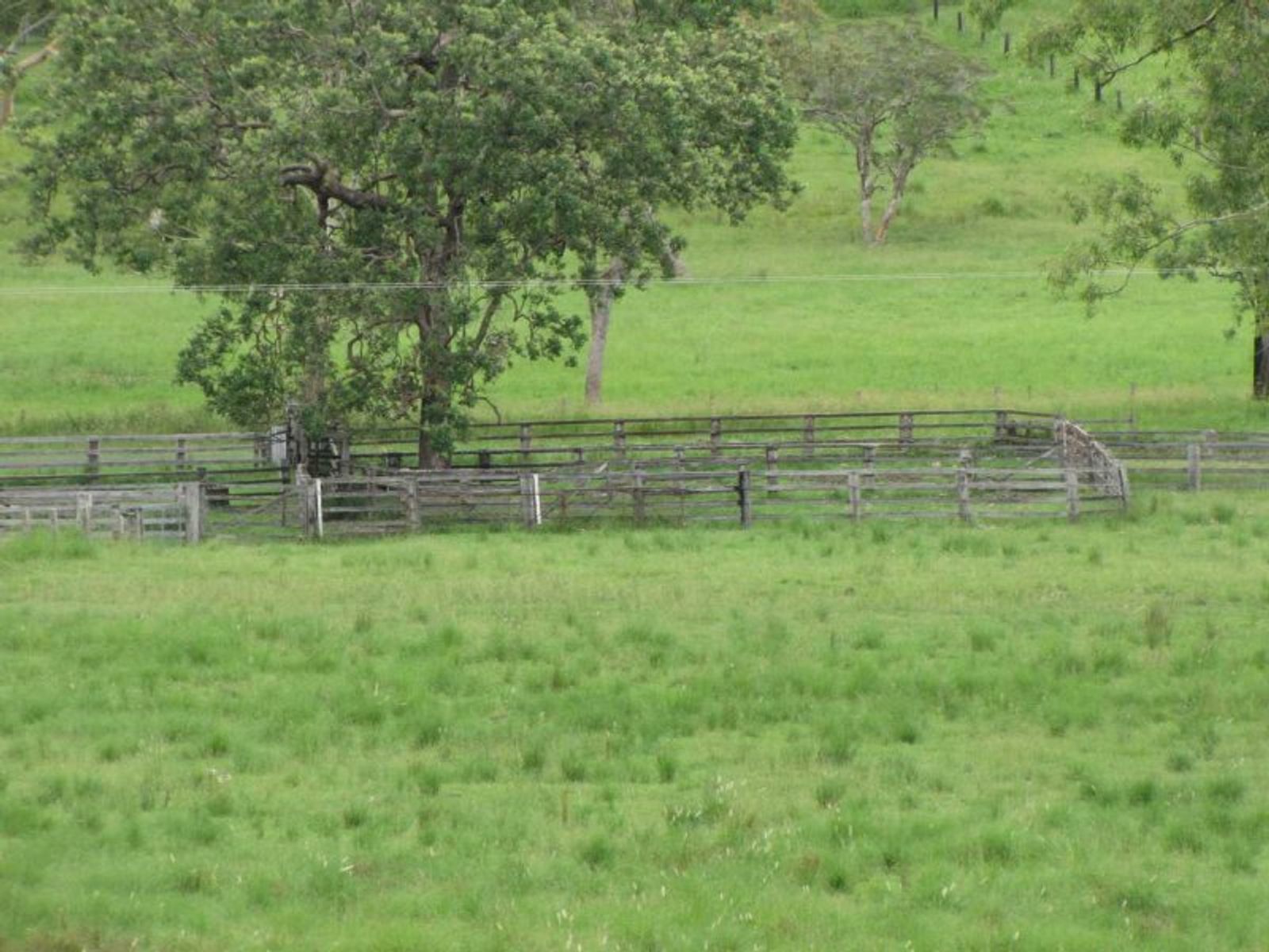 925 Naughtons Gap Rd, Bentley - Thumbnail 6