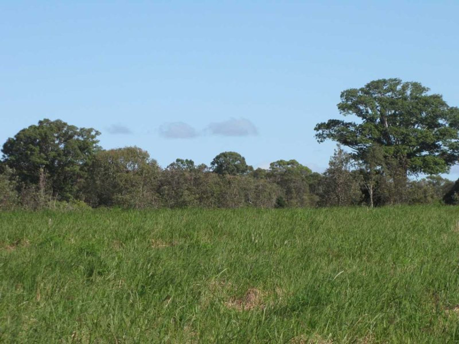 Coraki-Ellangowan Rd NSW 2471, Coraki-Ellangowan Rd - Thumbnail 5
