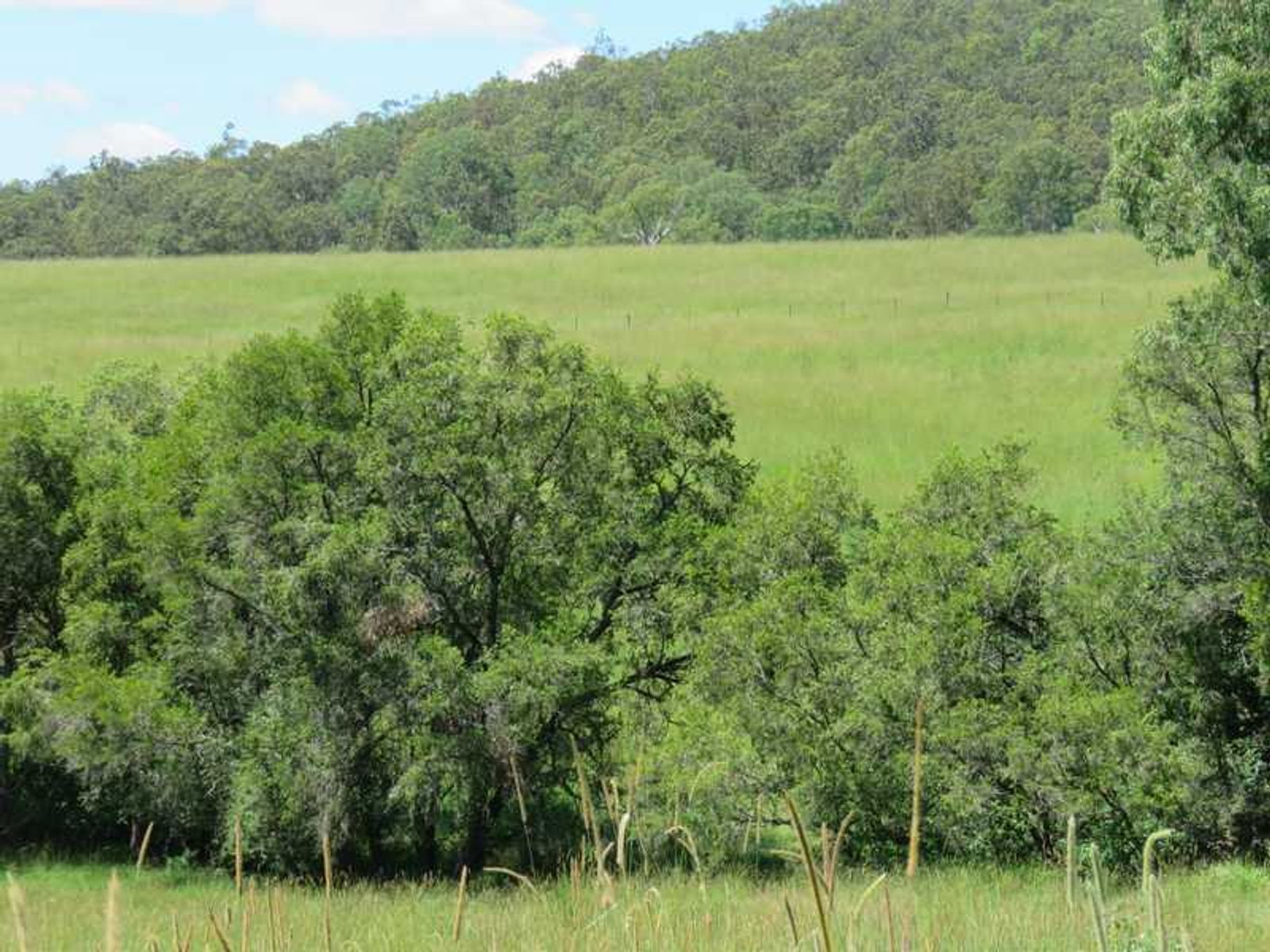 Lot 9 Lot 9 Plain Station Road, Tabulam - Thumbnail 6