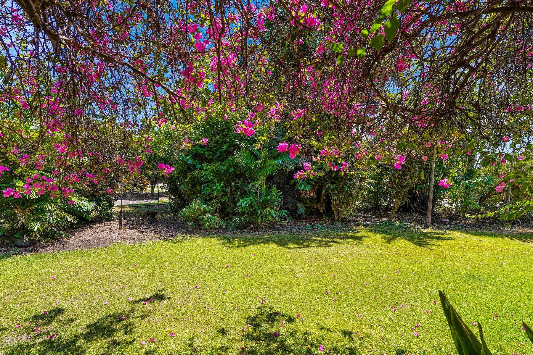 105 Ross Smith Avenue, Fannie Bay NT 0820, Fannie Bay - Thumbnail 3