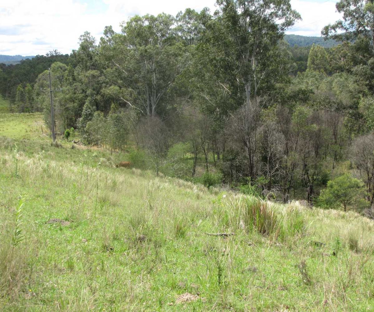Rogarra Clarence Way, Bottle Creek - Thumbnail 6