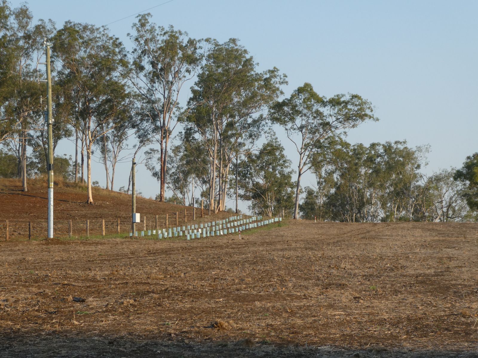 Lot 23 Walla Road, Morganville QLD 4671, Morganville - Thumbnail 4