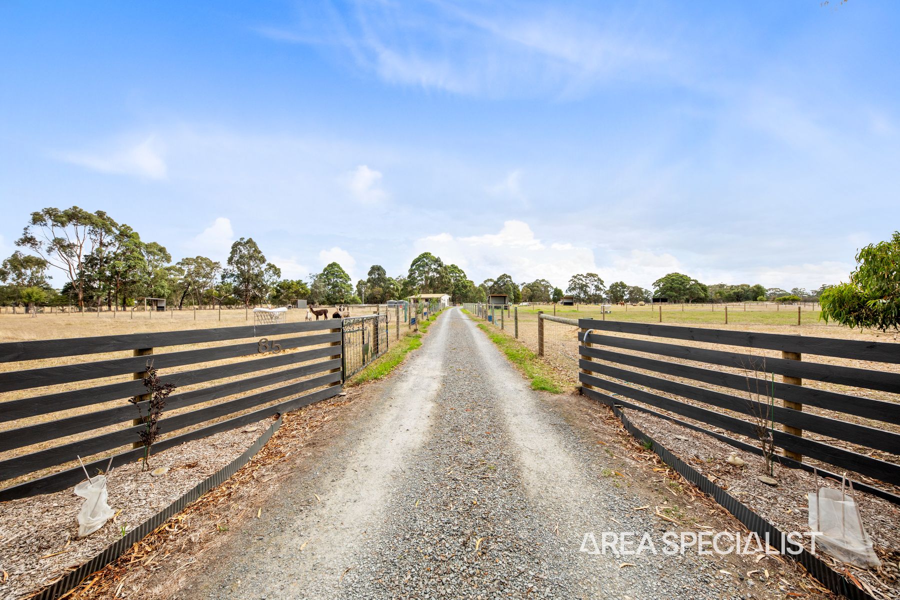 85 Osborn Road, Bayles, Bayles - Thumbnail 3