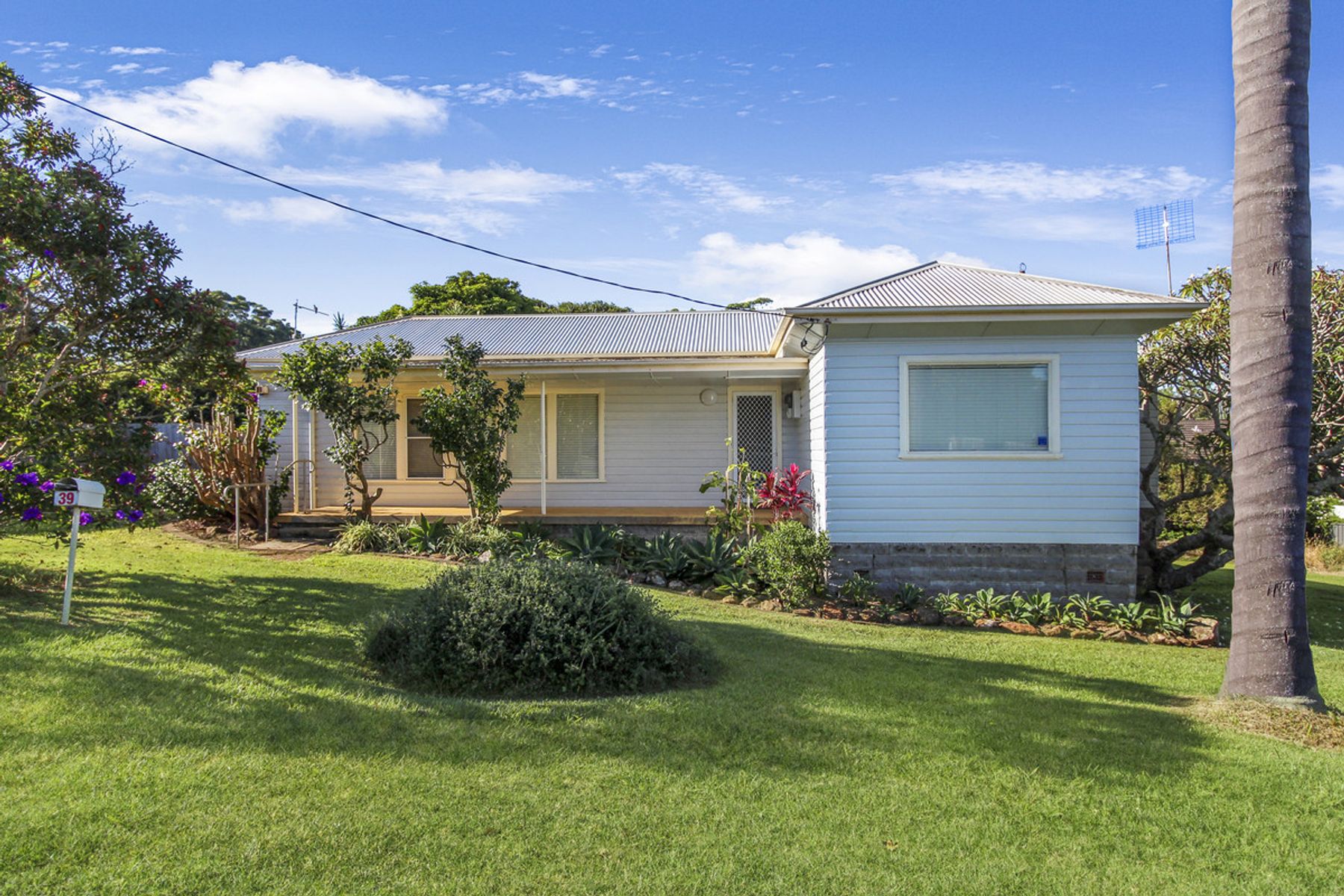 39 Flynn Street, Port Macquarie NSW 2444, Port Macquarie - Thumbnail 2