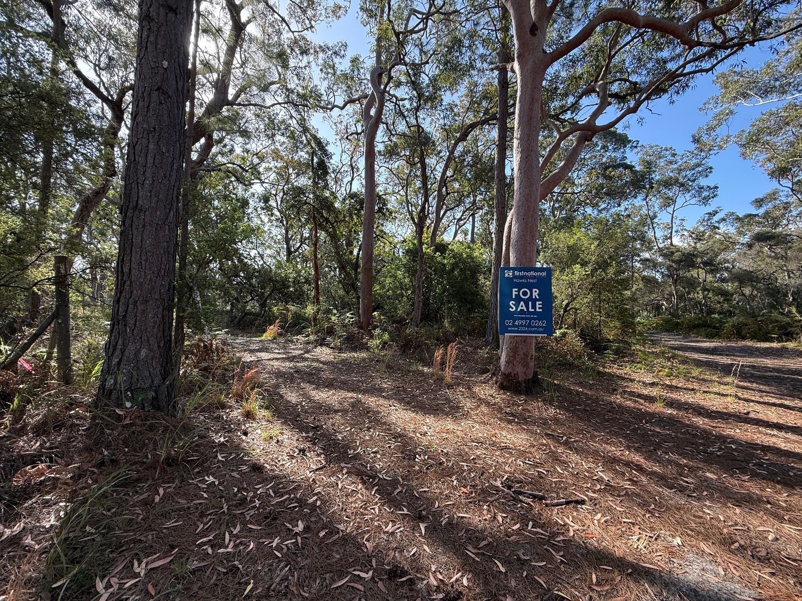 Lot 6 Wyree Street, Pindimar - Image 1