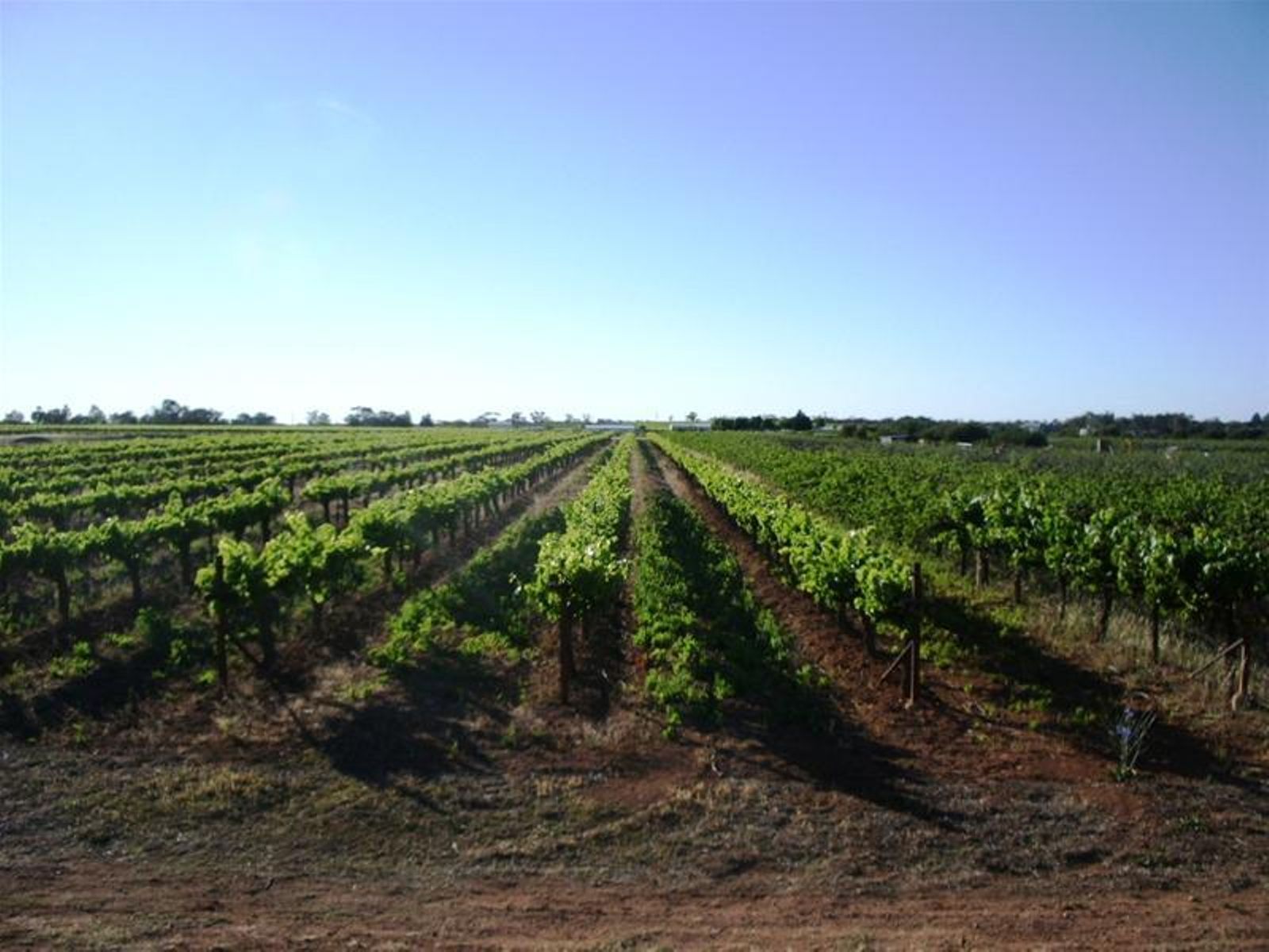 Lot 2 Etiwanda Avenue