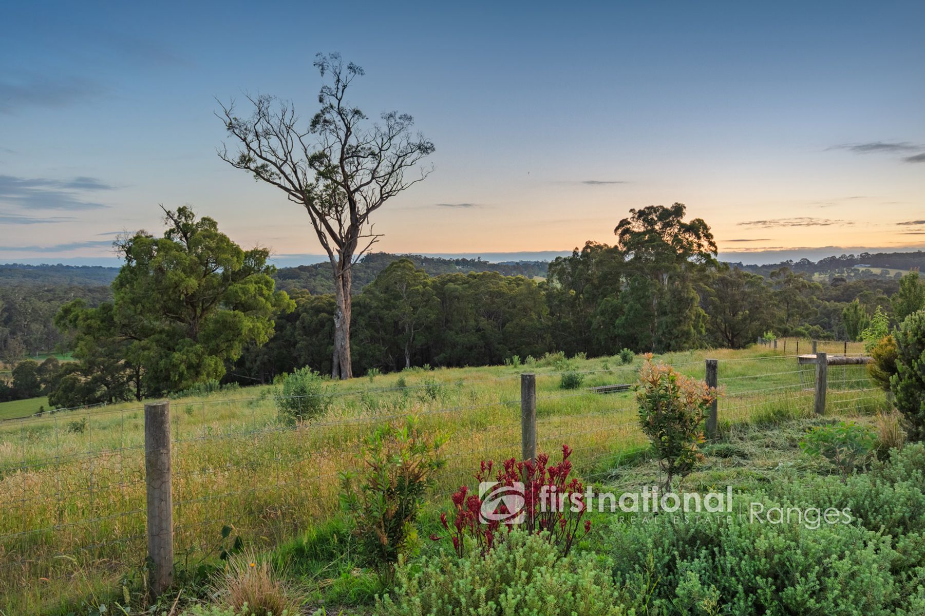 11 Donovan Boulevard, Gregory Hills, NSW, 2557, Gregory Hills - Thumbnail 2