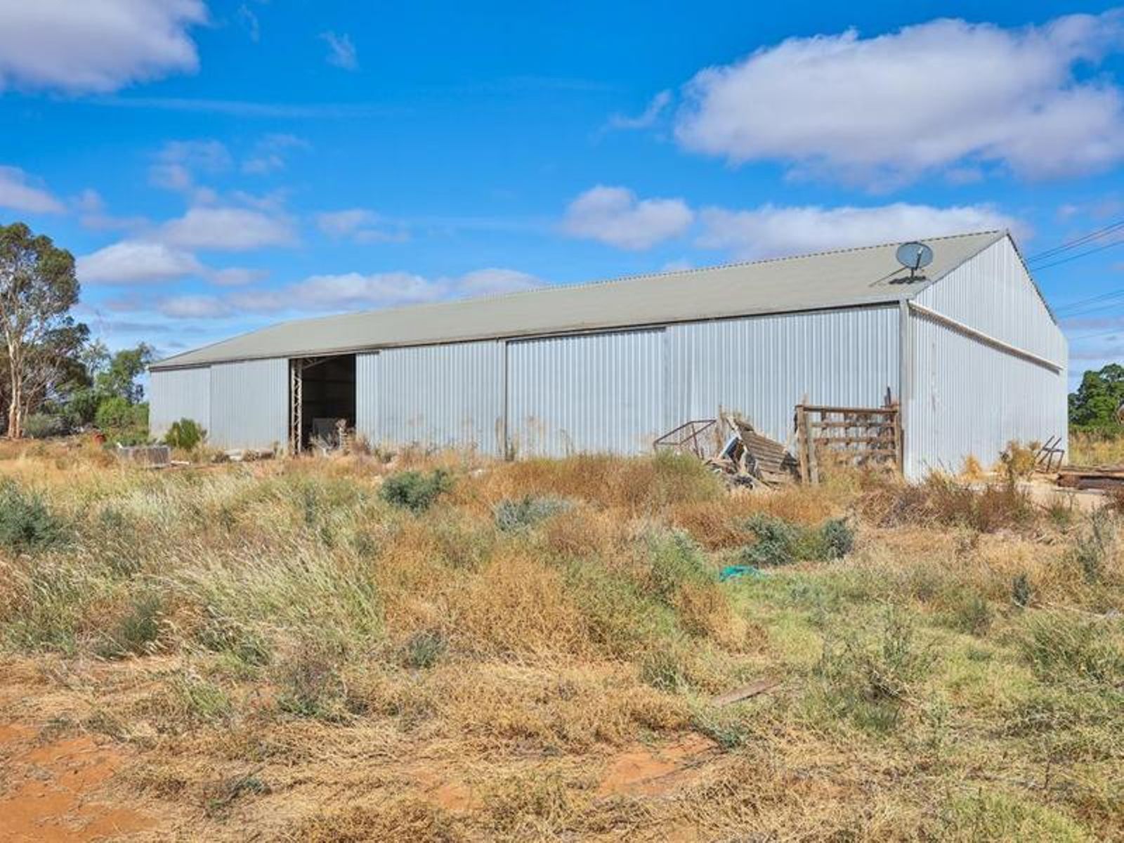 52 McEdward Street, Birdwoodton - Thumbnail 7