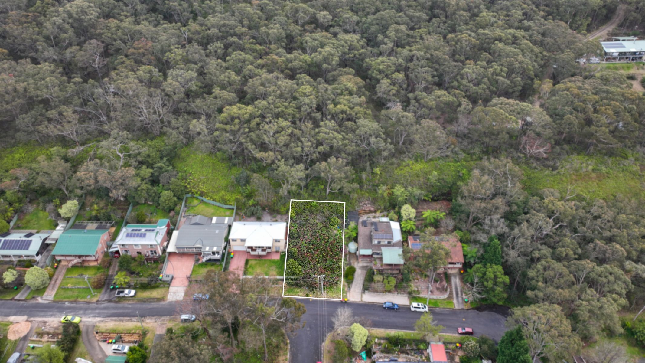 44 Cliff Avenue, Hazelbrook NSW 2779, Hazelbrook - Thumbnail 2