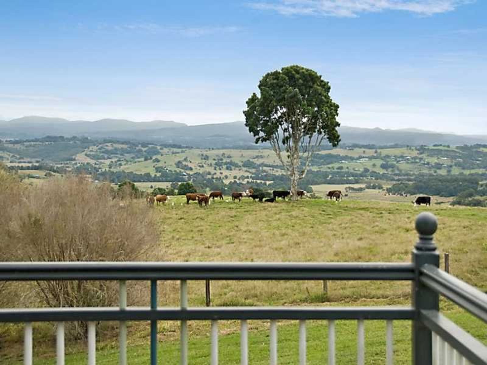 11 Roseview Road, McLeans Ridges - Thumbnail 6