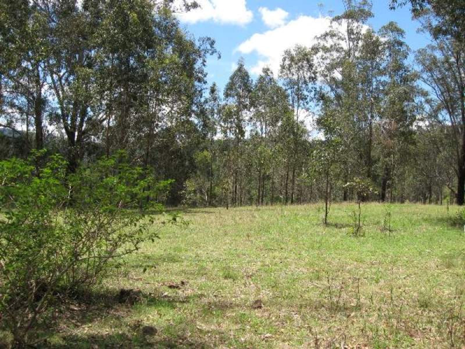Old Bonalbo NSW 2469, Old Bonalbo - Thumbnail 4