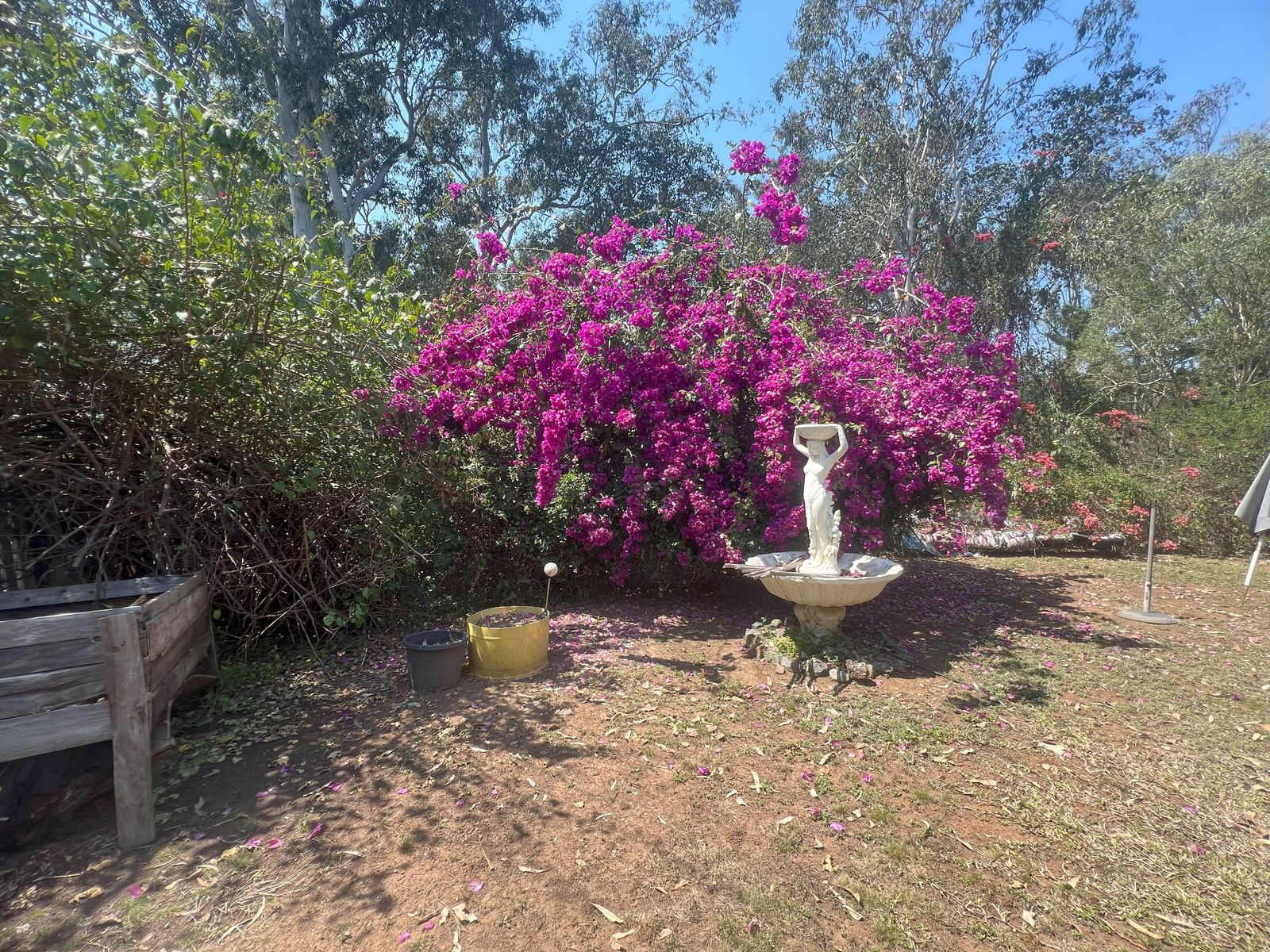 5 John Street, Cordalba QLD 4660, Cordalba - Thumbnail 6