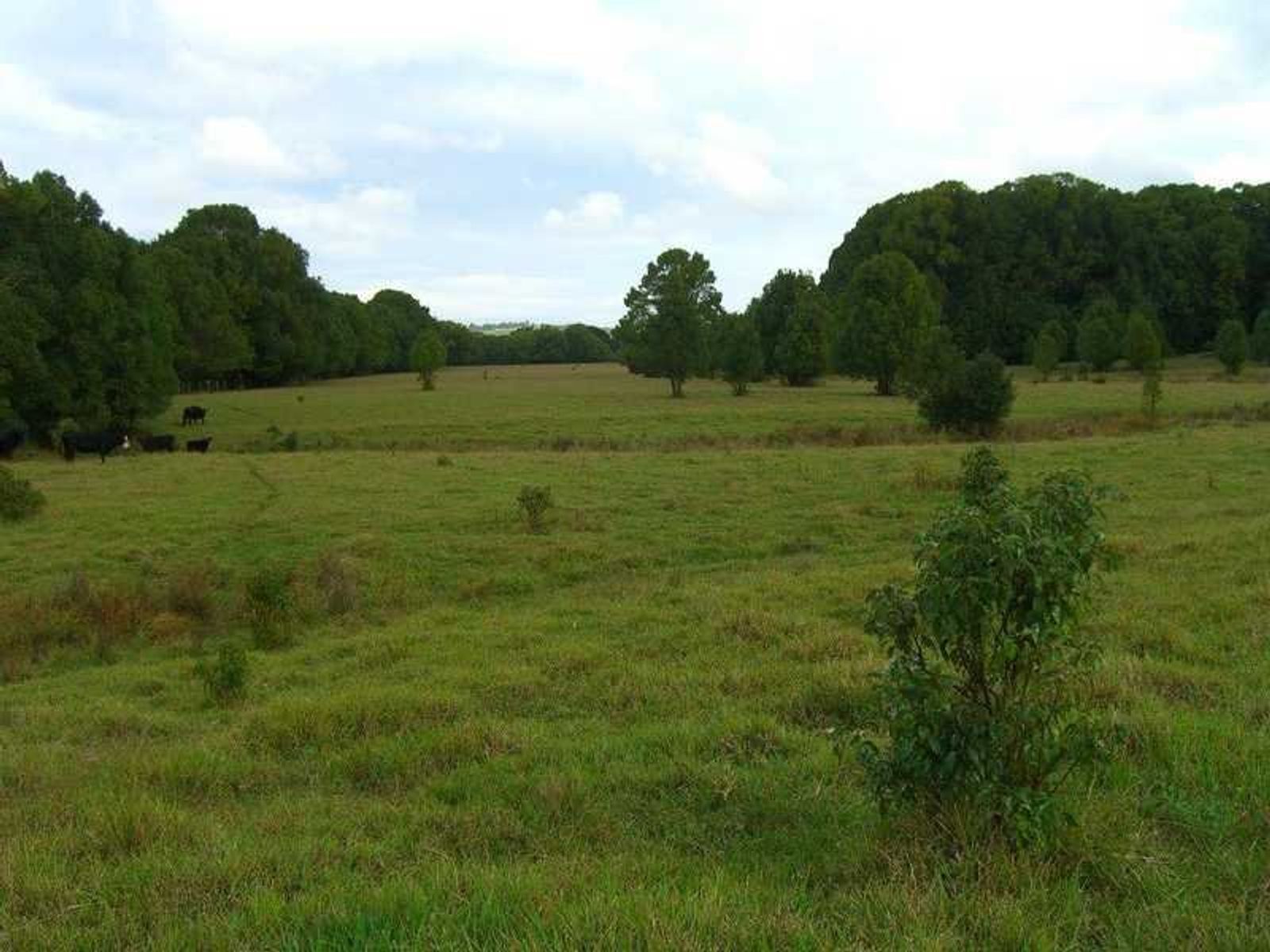 Lot 22 Lot 22 Booyong Road, Clunes - Thumbnail 8