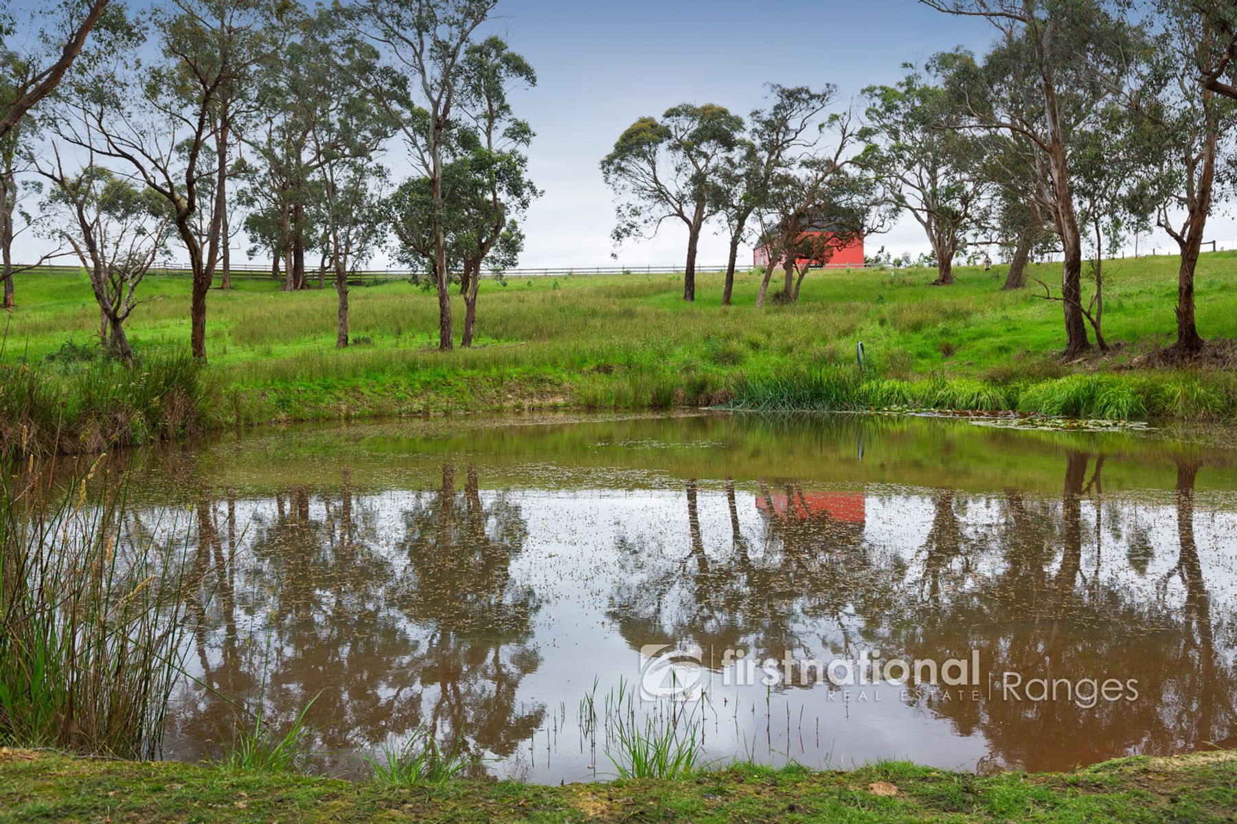 86 Hayseys Road, Narre Warren East VIC 3804, Narre Warren East - Thumbnail 5