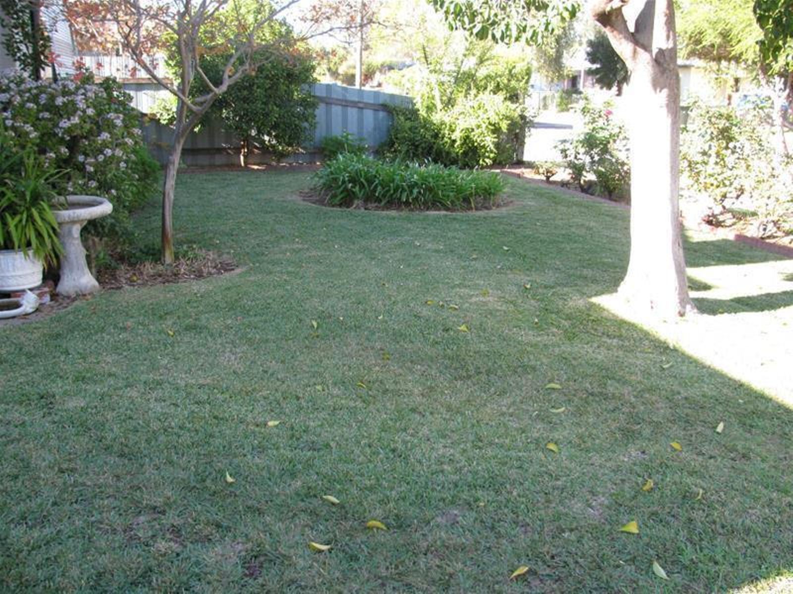 58 Hazeldene Street, Mildura - Thumbnail 2