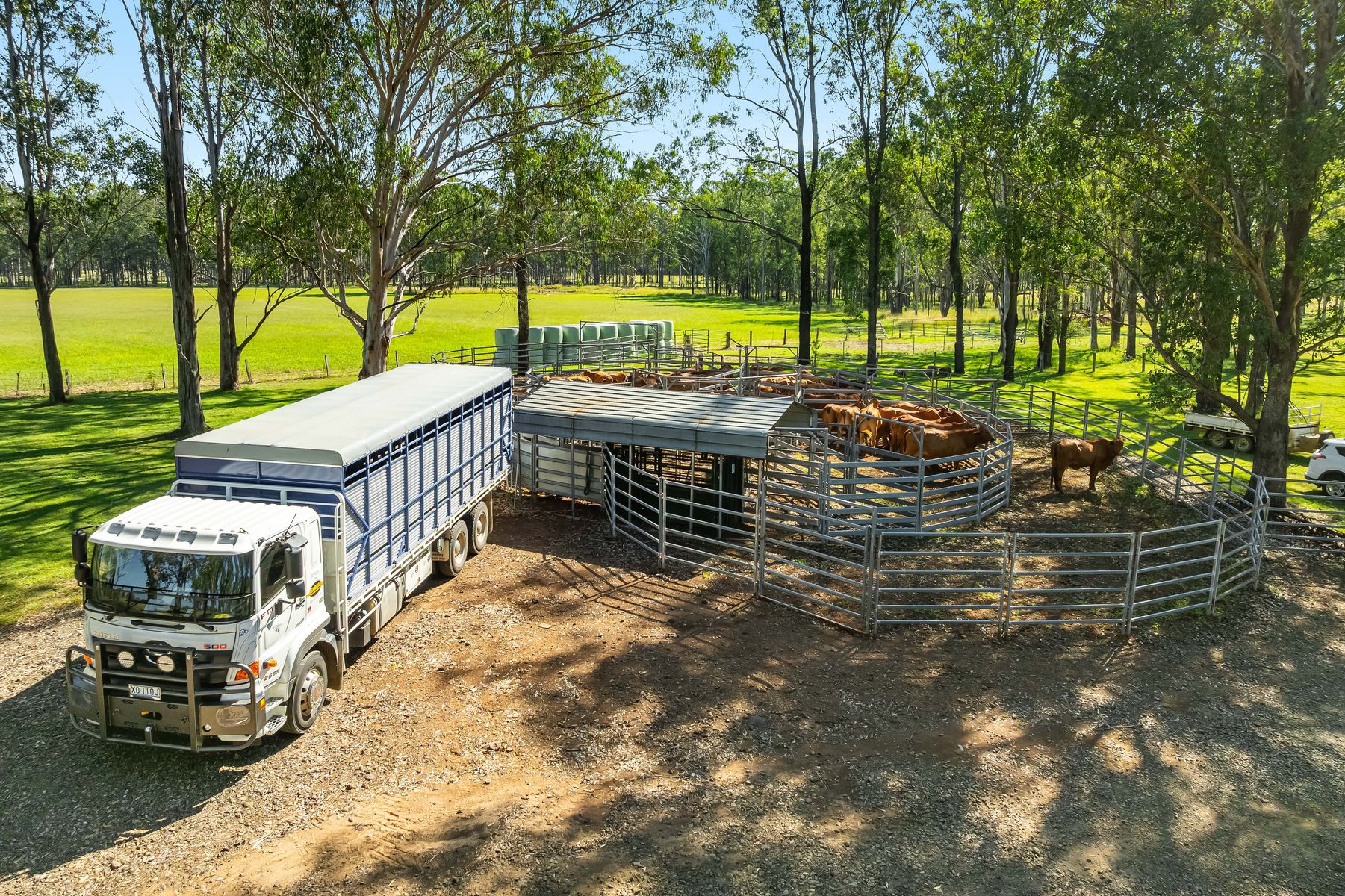 1295 Ellangowan Road, Ellangowan - Thumbnail 7