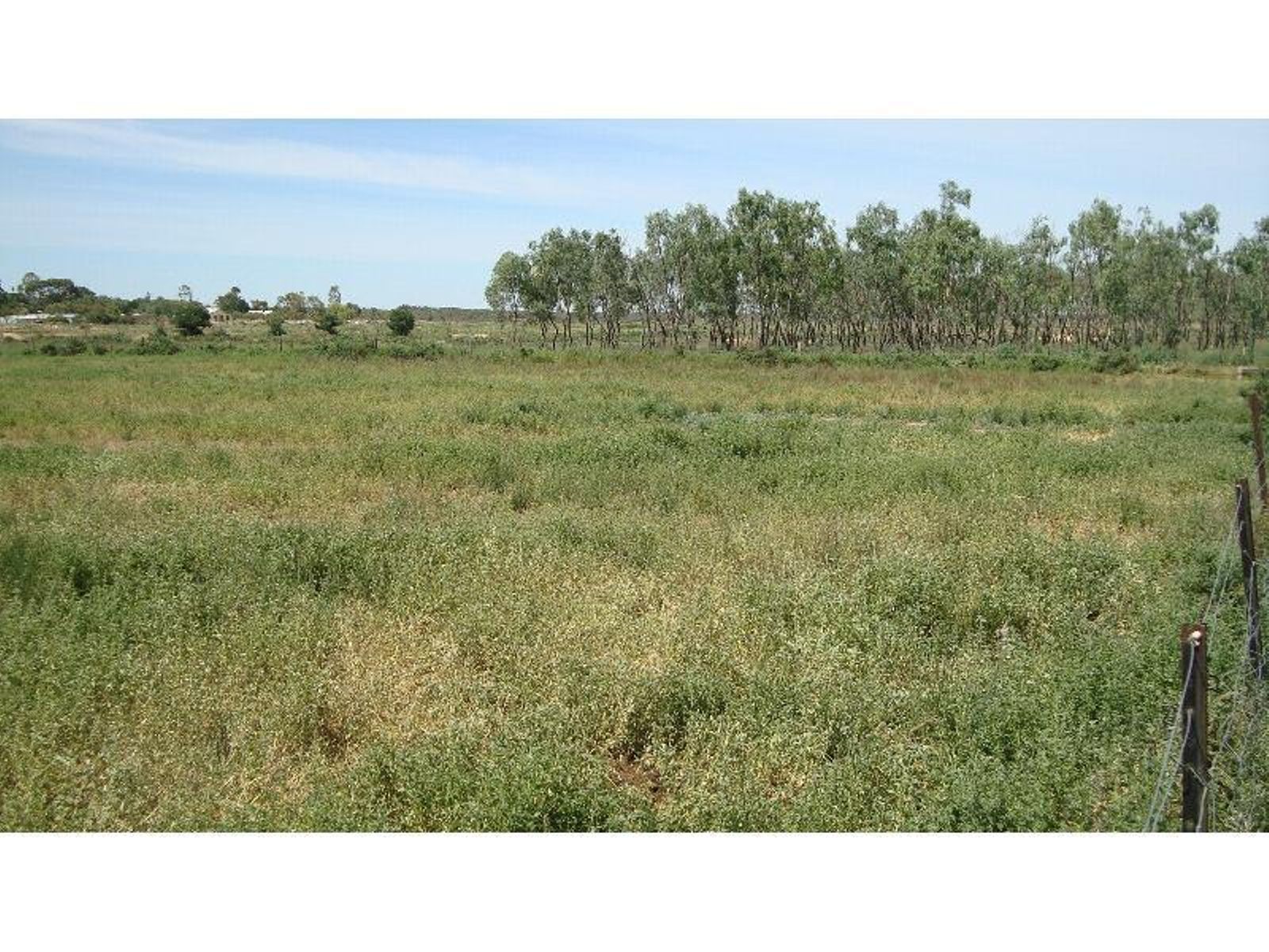 3550 San Mateo Avenue, Mildura - Thumbnail 4