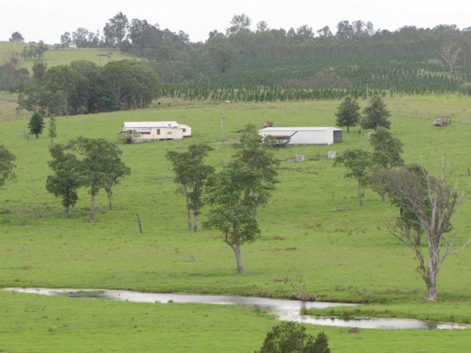 Lot 124, Bonalbo Rd, Mallanganee - Thumbnail 4