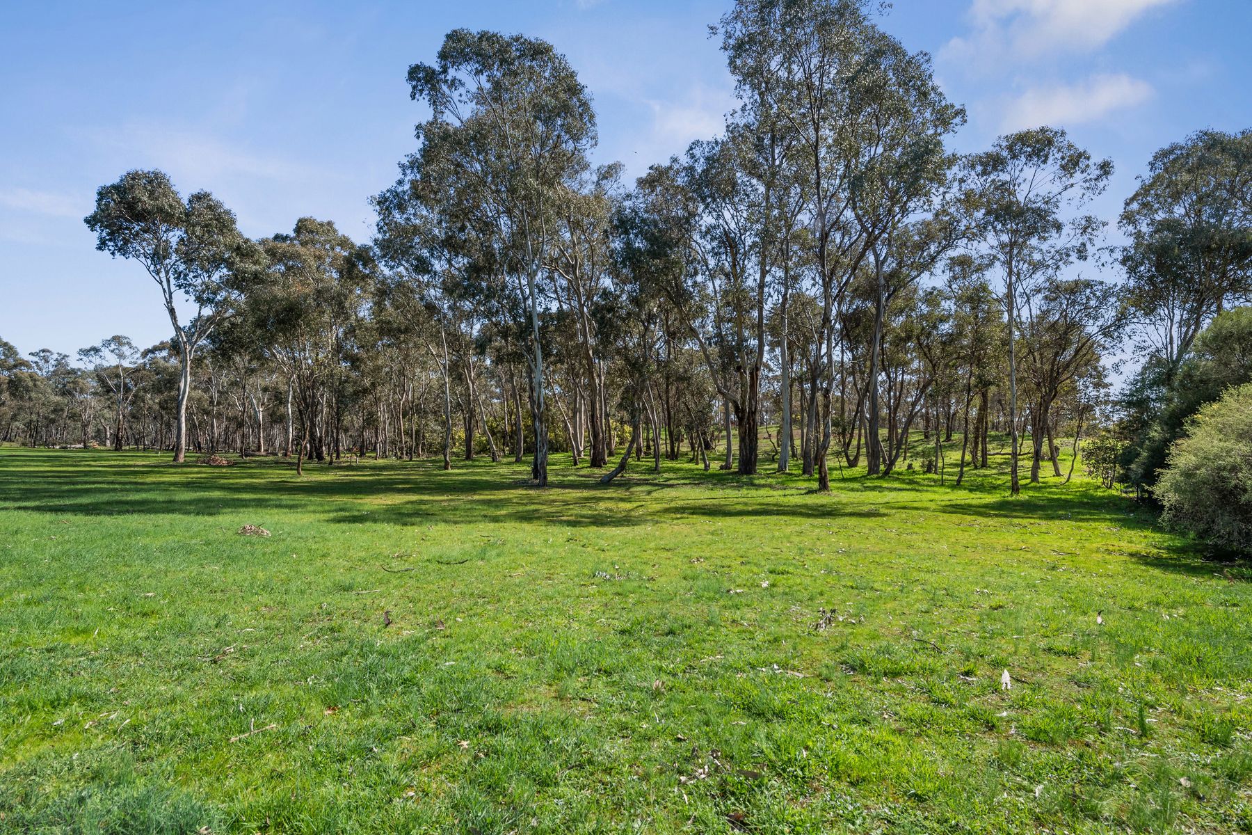 158 Sinclairs Road, Strathfieldsaye VIC 3551, Strathfieldsaye - Thumbnail 3