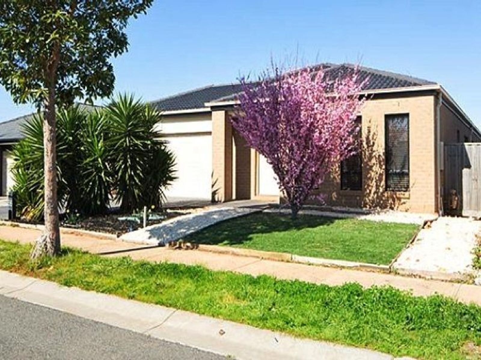 58 Urban Drive, Williams Landing - Thumbnail 7