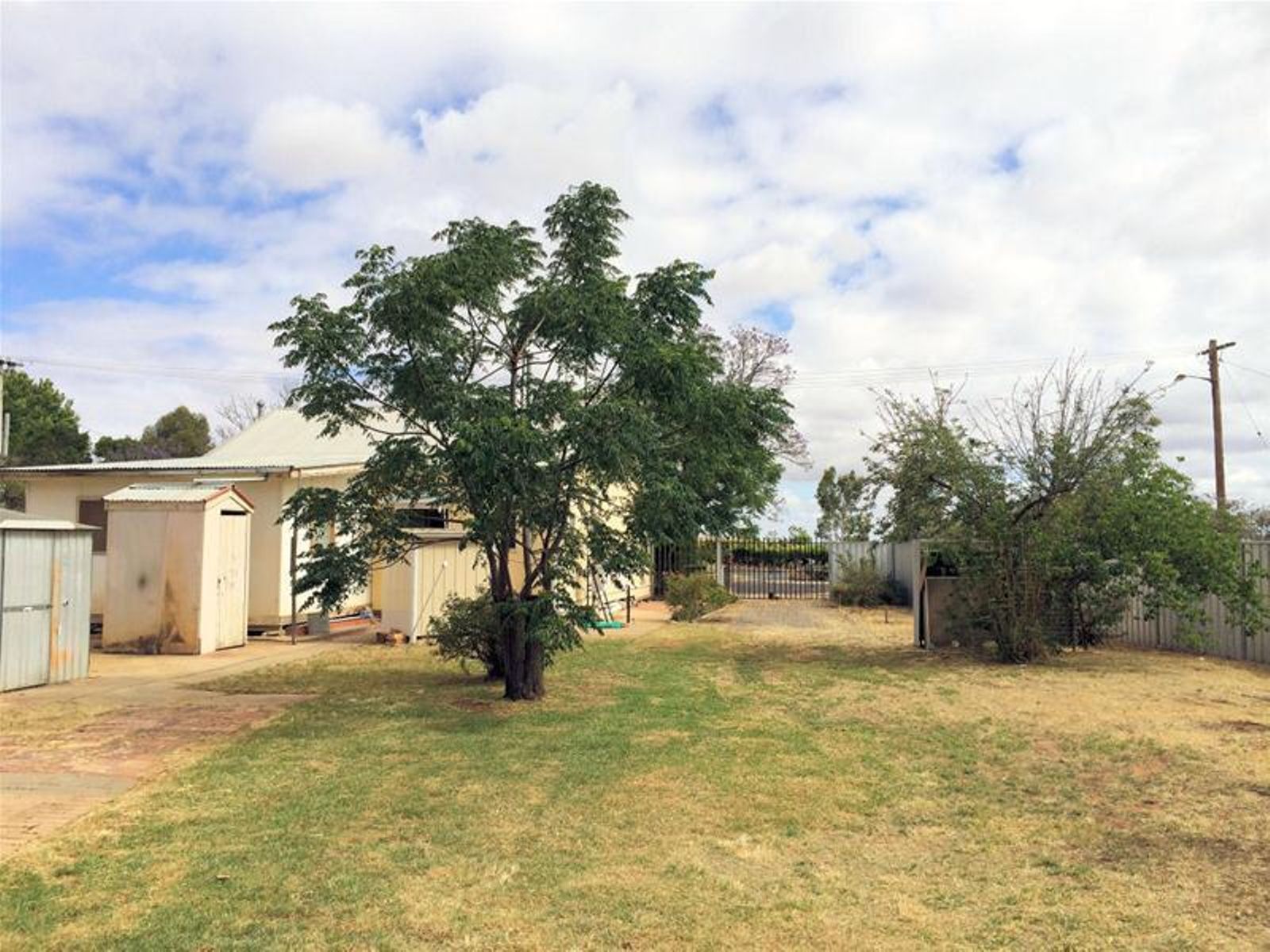 50 Avoca Street, Dareton - Thumbnail 5