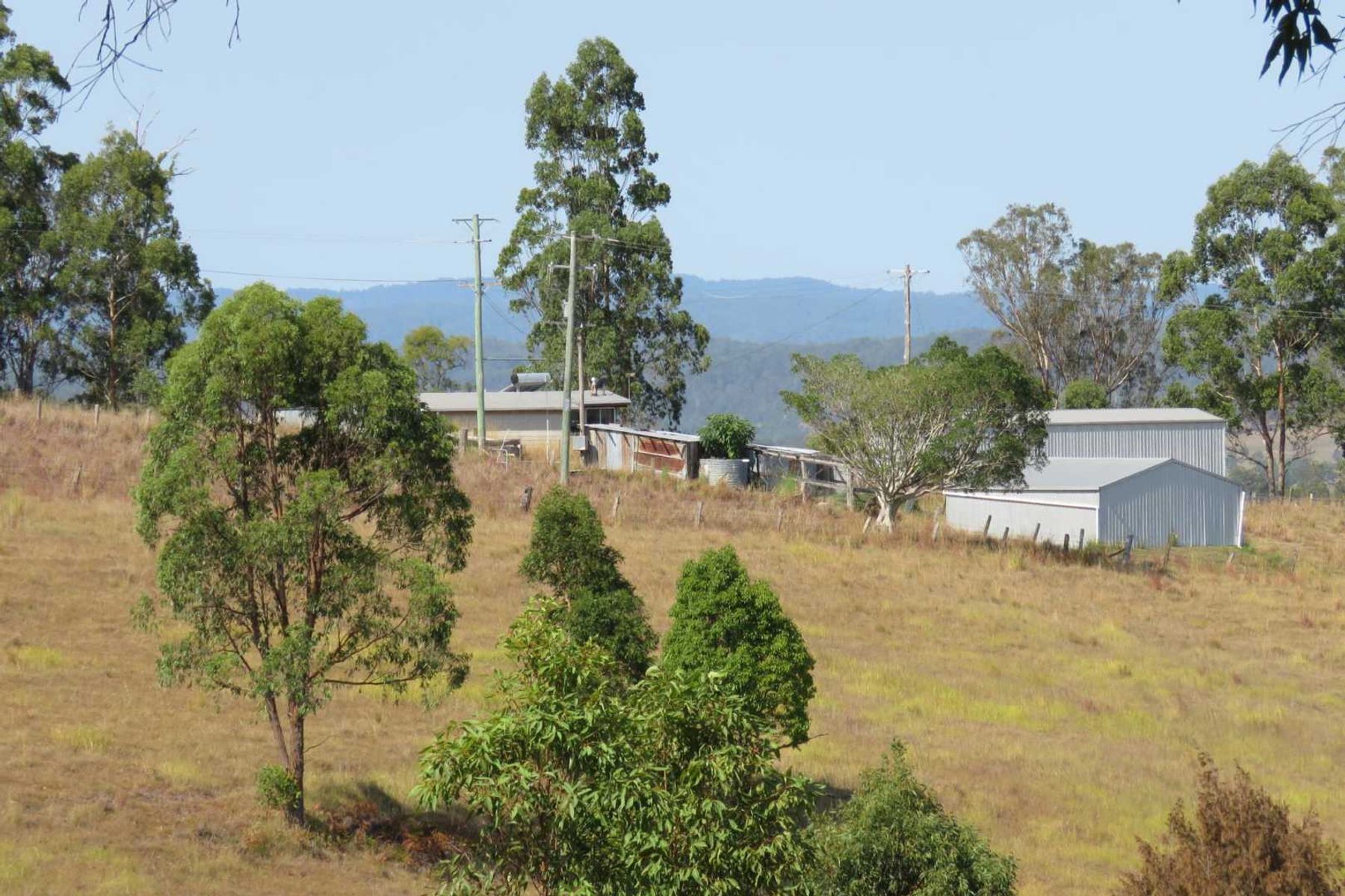 497 Yabbra Road, Yabbra, NSW 2469, Yabbra - Thumbnail 5