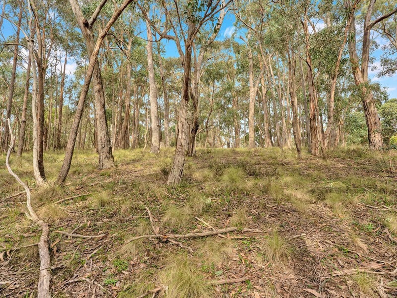 Lot 163/78 Acacia Avenue, Dales Creek VIC 3341, Dales Creek - Thumbnail 6
